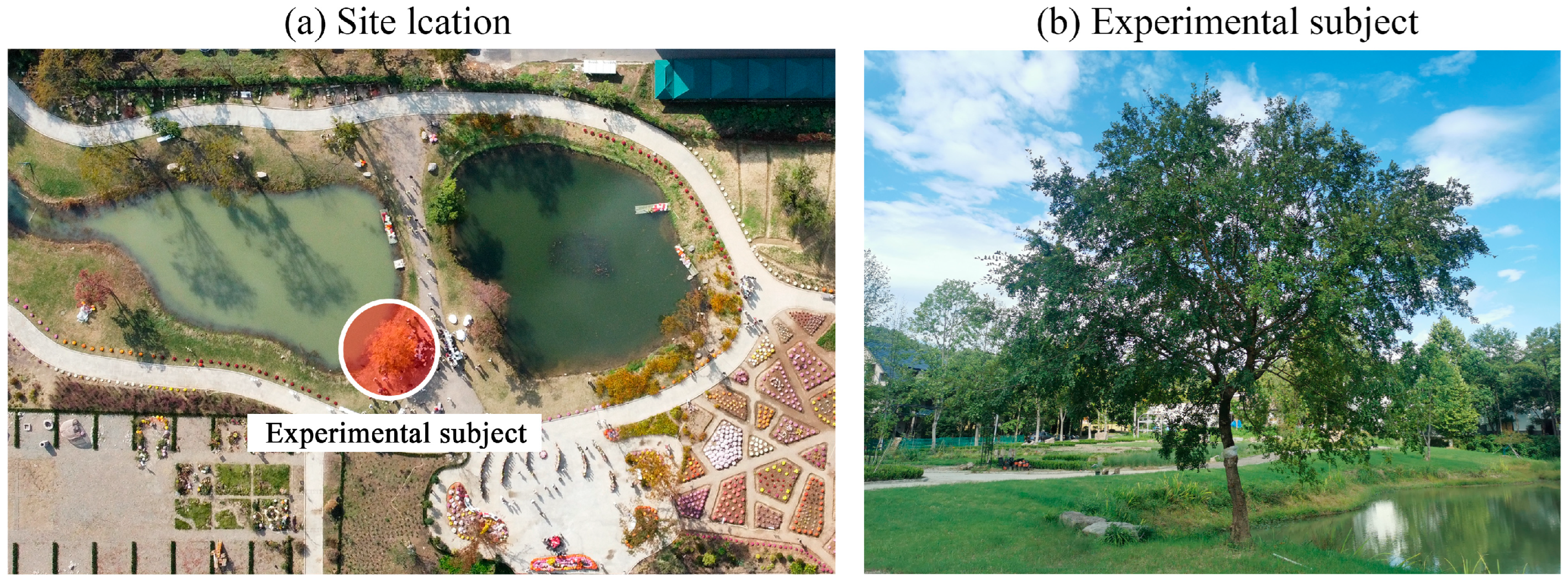 Atmosphere 14 01010 g006