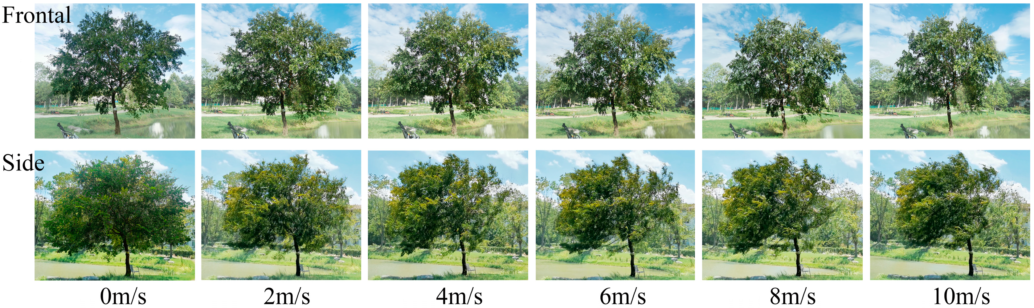 Atmosphere 14 01010 g007