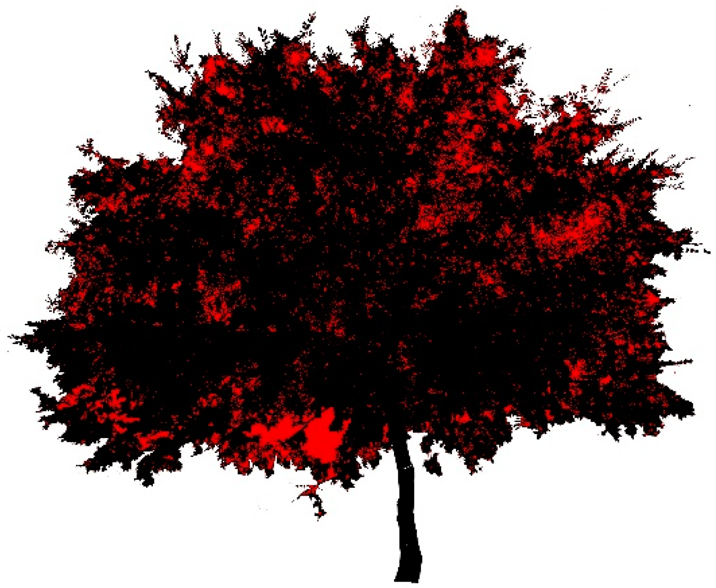 Atmosphere 14 01010 g008