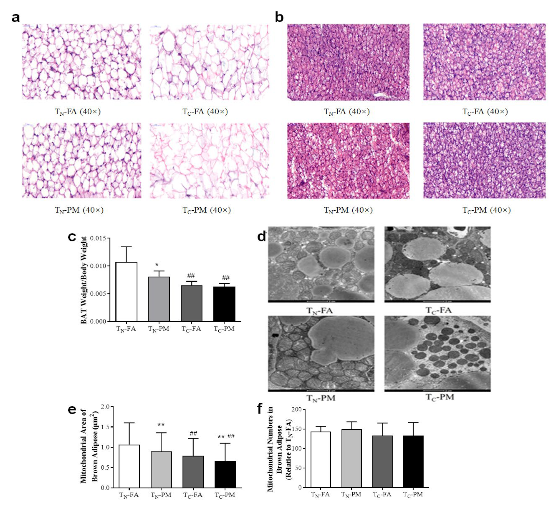 Atmosphere 14 01157 g004 Atmosphere 14 01157 g004