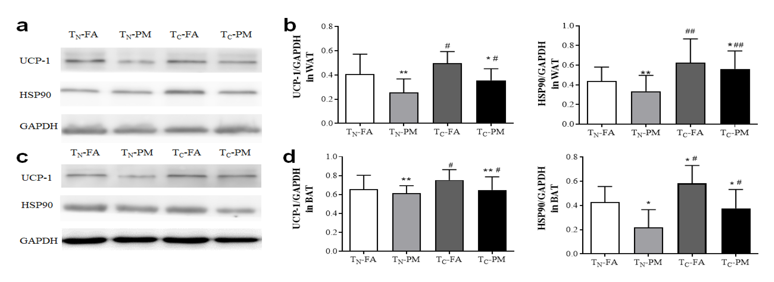 Atmosphere 14 01157 g007 Atmosphere 14 01157 g007