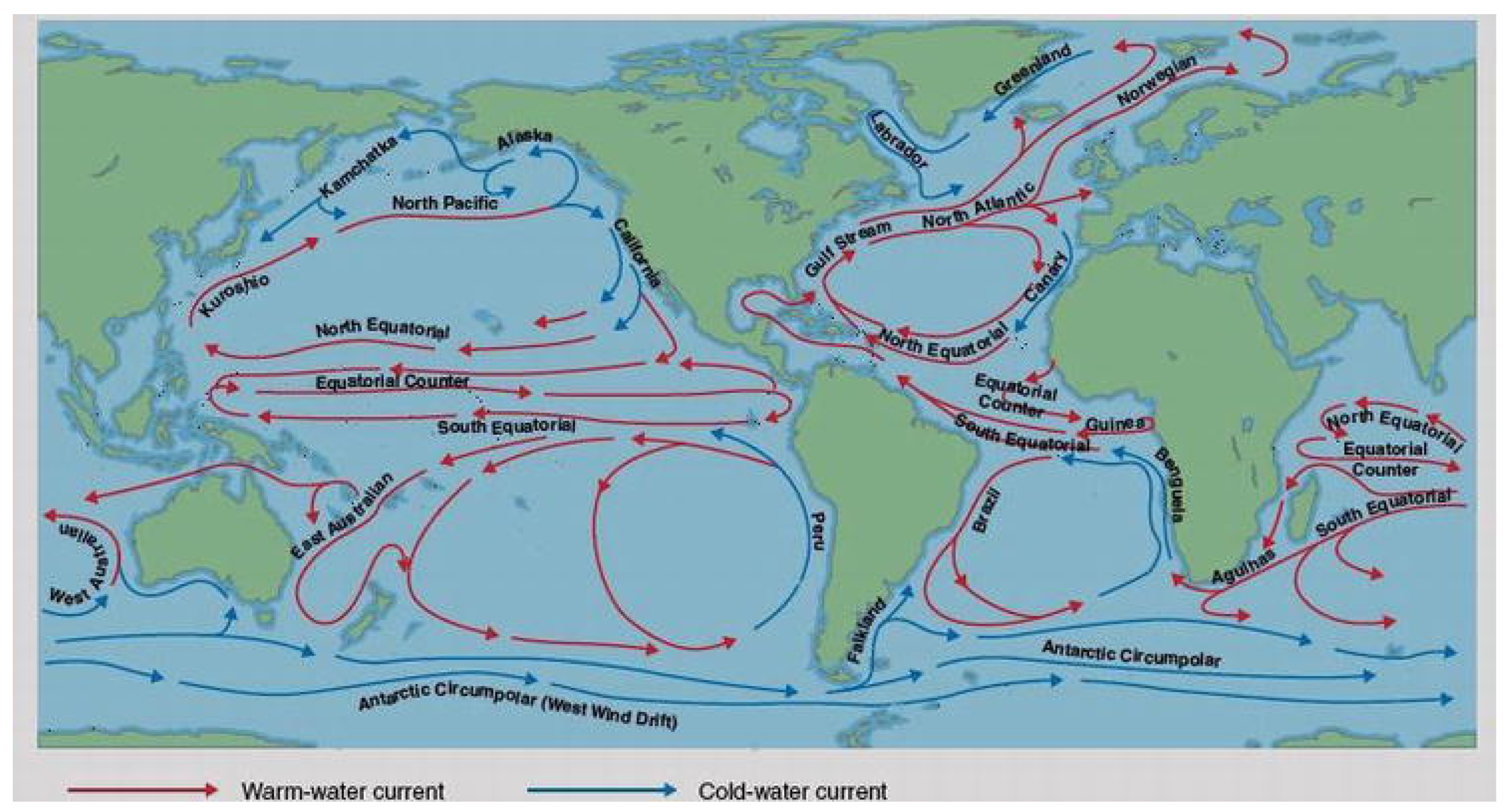 Течение двух пяти минут. Схема течений мирового океана. Основные поверхностные течения в мировом океане. Карта поверхностных течений мирового океана. Схема основных поверхностных течений мирового океана.