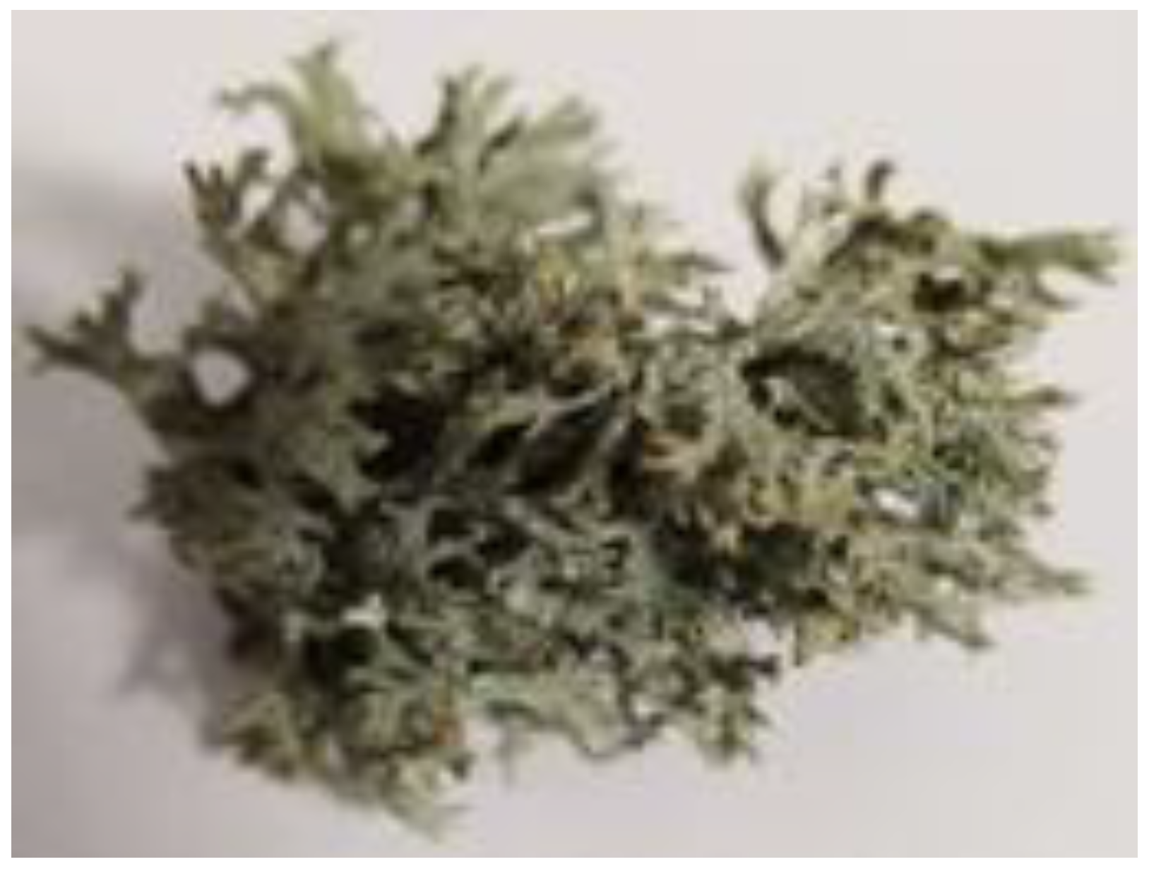 Atmosphere 14 01287 g001 Atmosphere 14 01287 g001