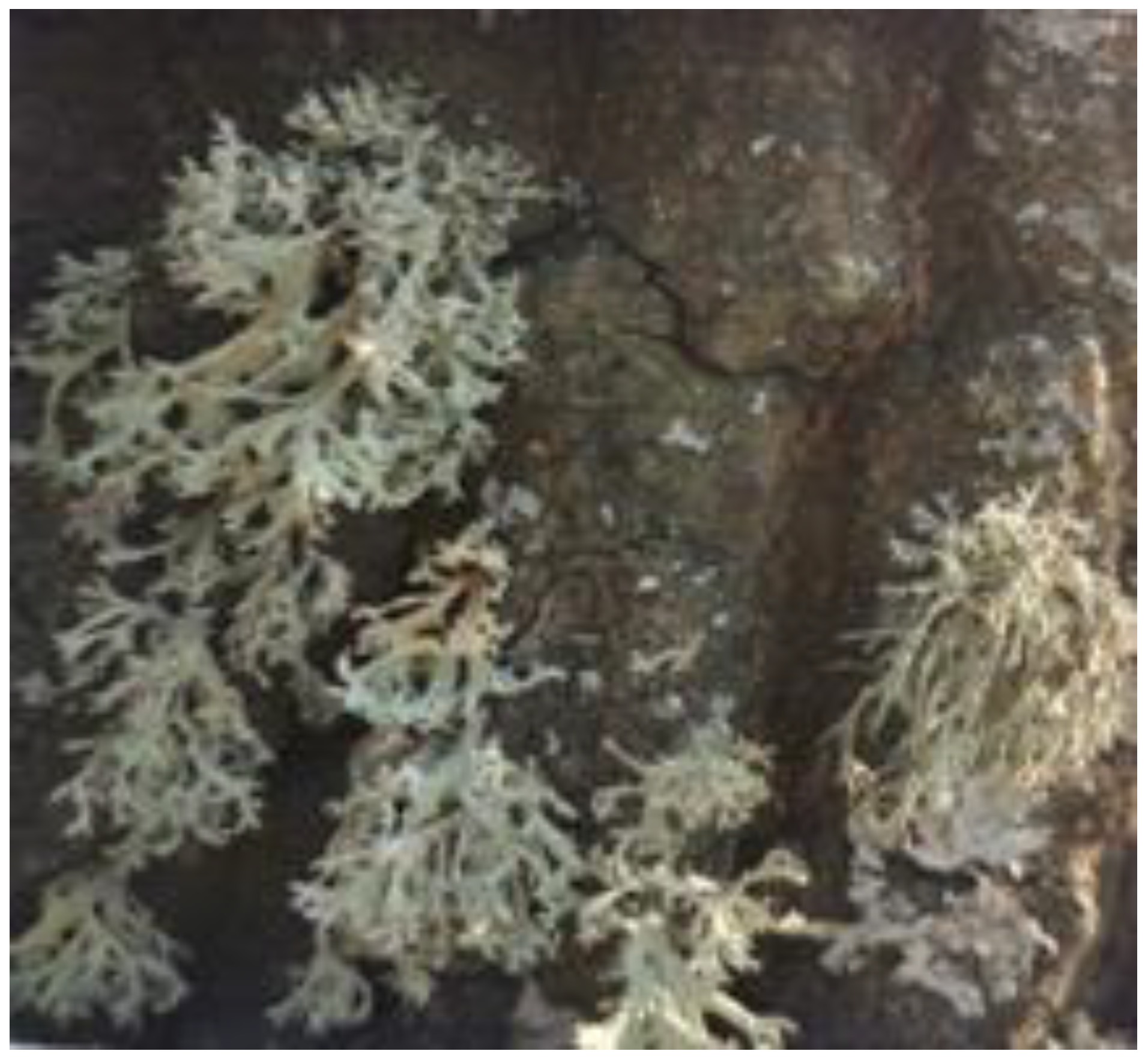 Atmosphere 14 01287 g004 Atmosphere 14 01287 g004