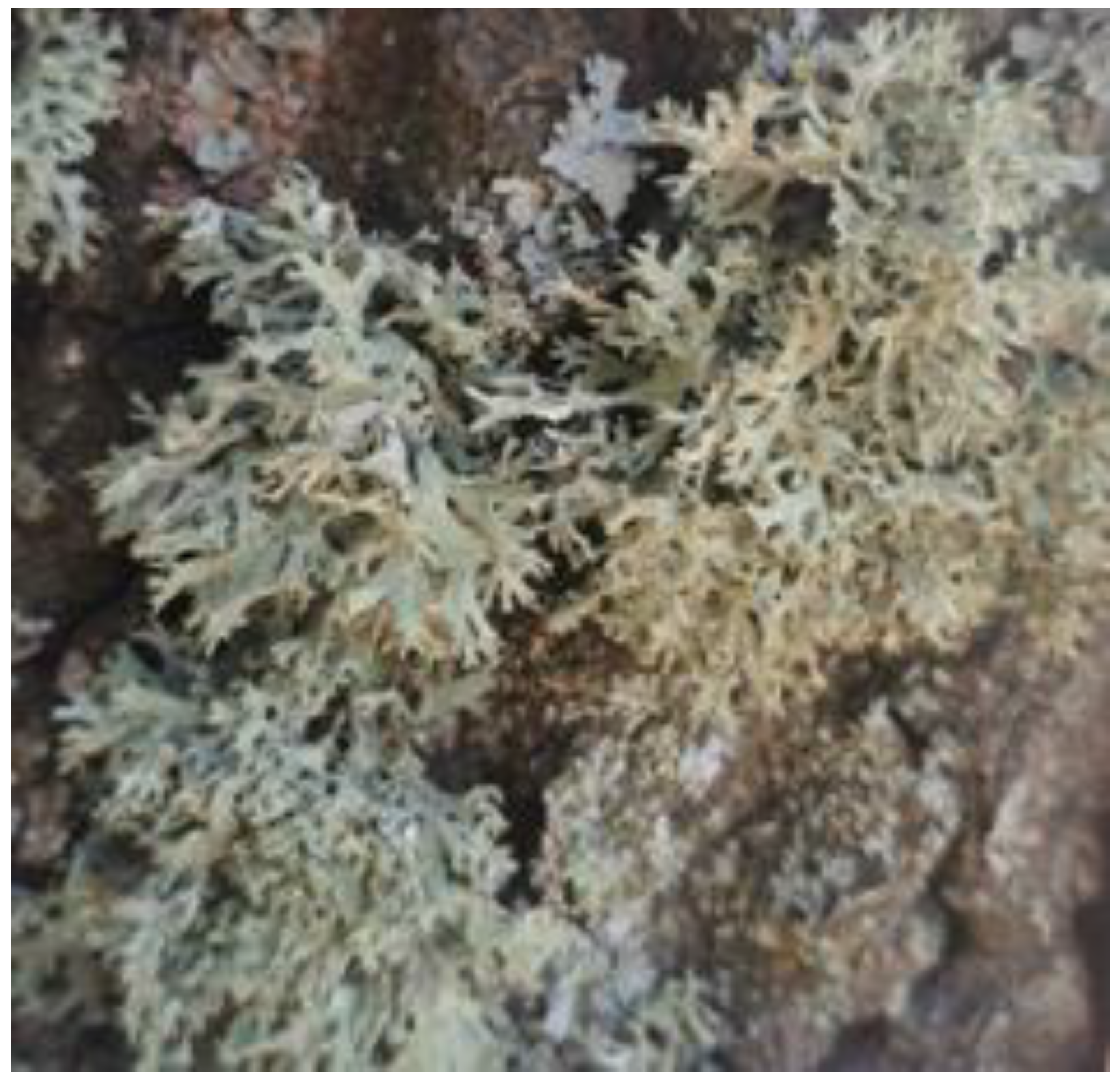 Atmosphere 14 01287 g005 Atmosphere 14 01287 g005