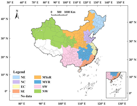 その他 T.H シチズン デラックス 1961年製 手巻き タグ付き