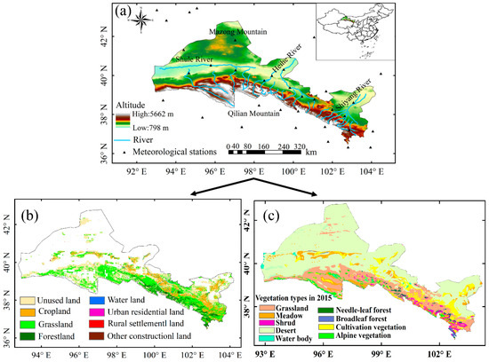 ★決算特価商品★ Accelerated Activities Human Increase in Vegetation in ウエイトトレーニング