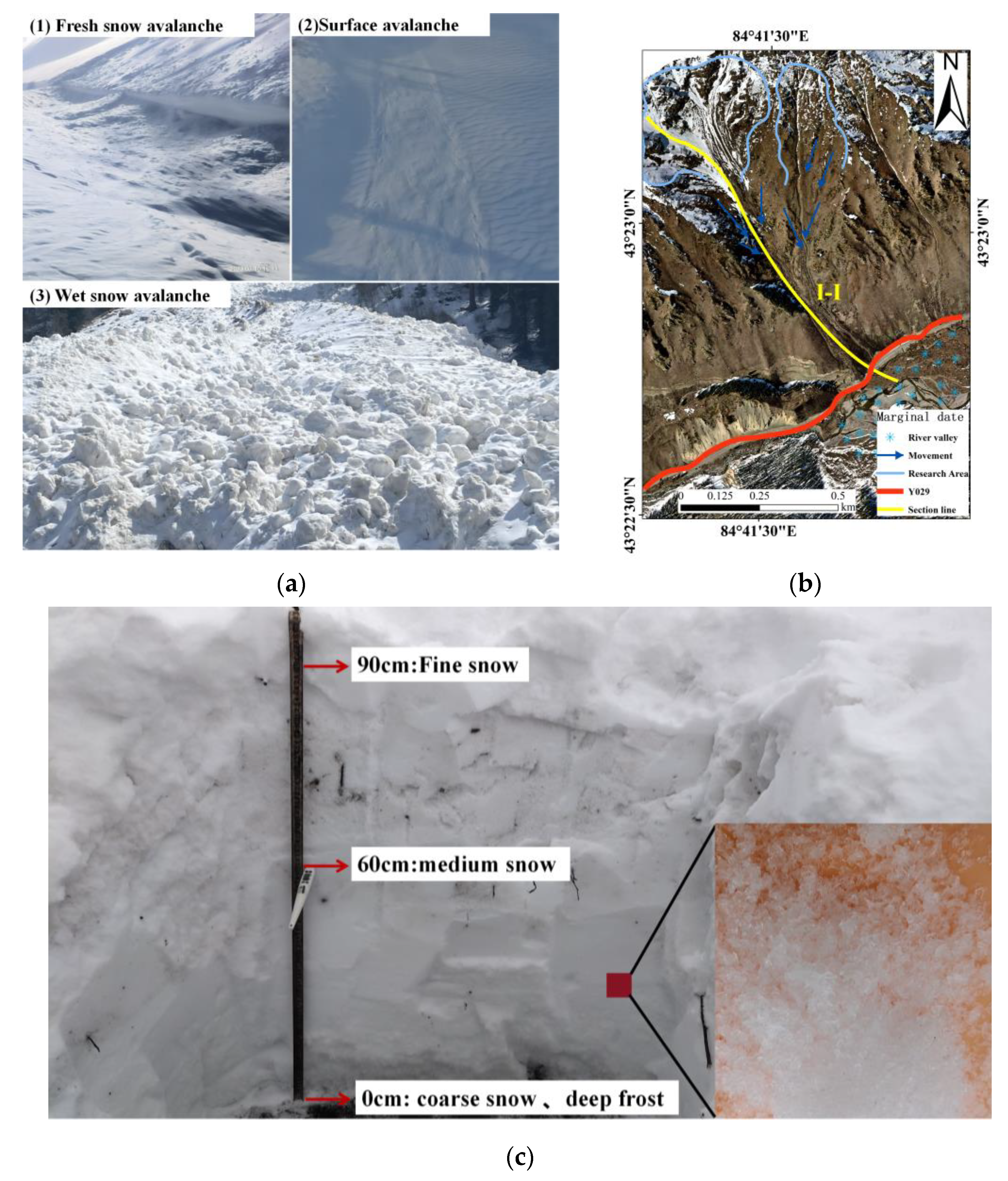 A Study on Avalanche-Triggering Factors and Activity