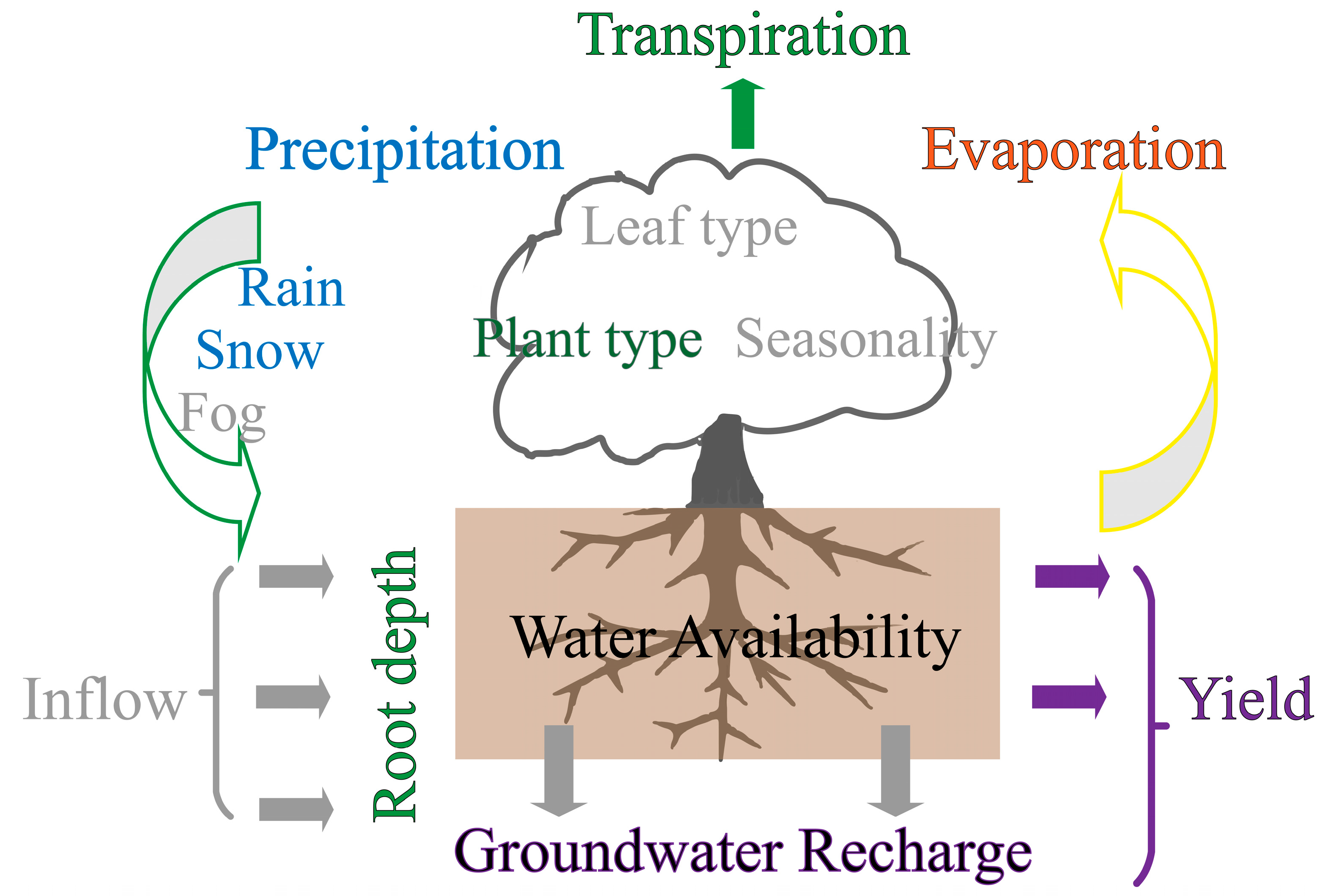 Spatial and Temporal Evolution Characteristics of Water