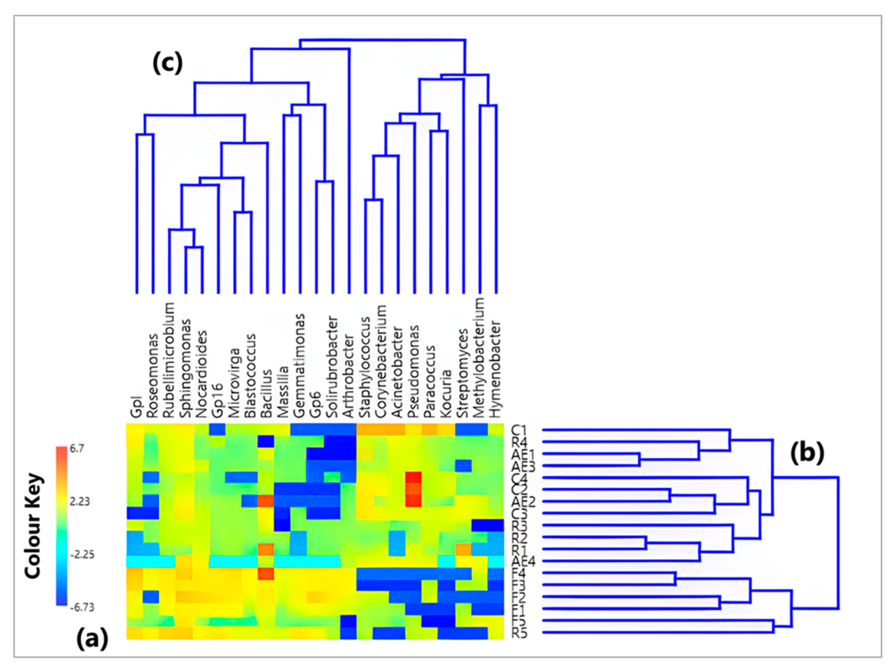Atmosphere 14 01529 g001