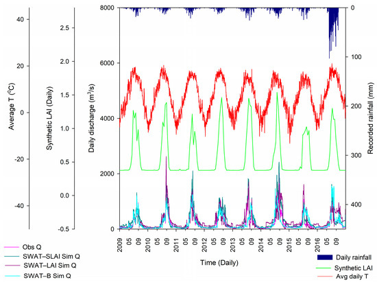 Unravelling the Role of Vegetation Dynamics in the Execution