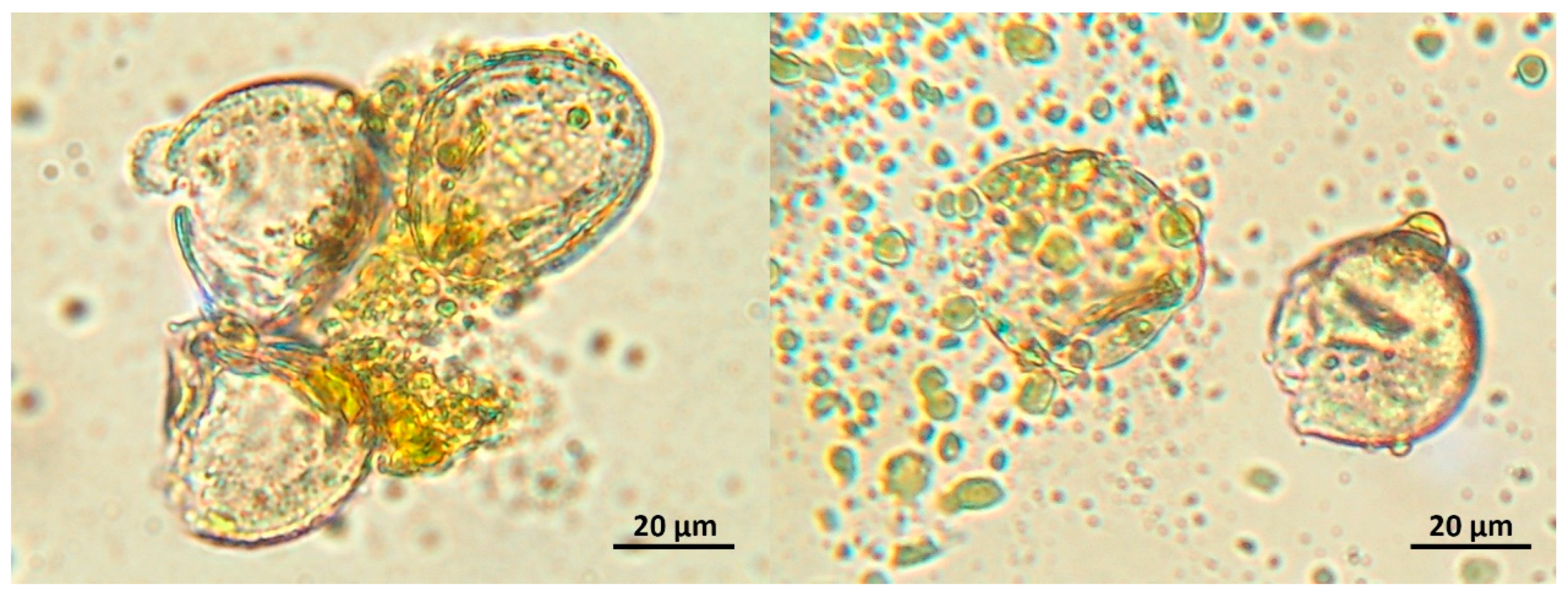 Atmosphere 14 01544 g003