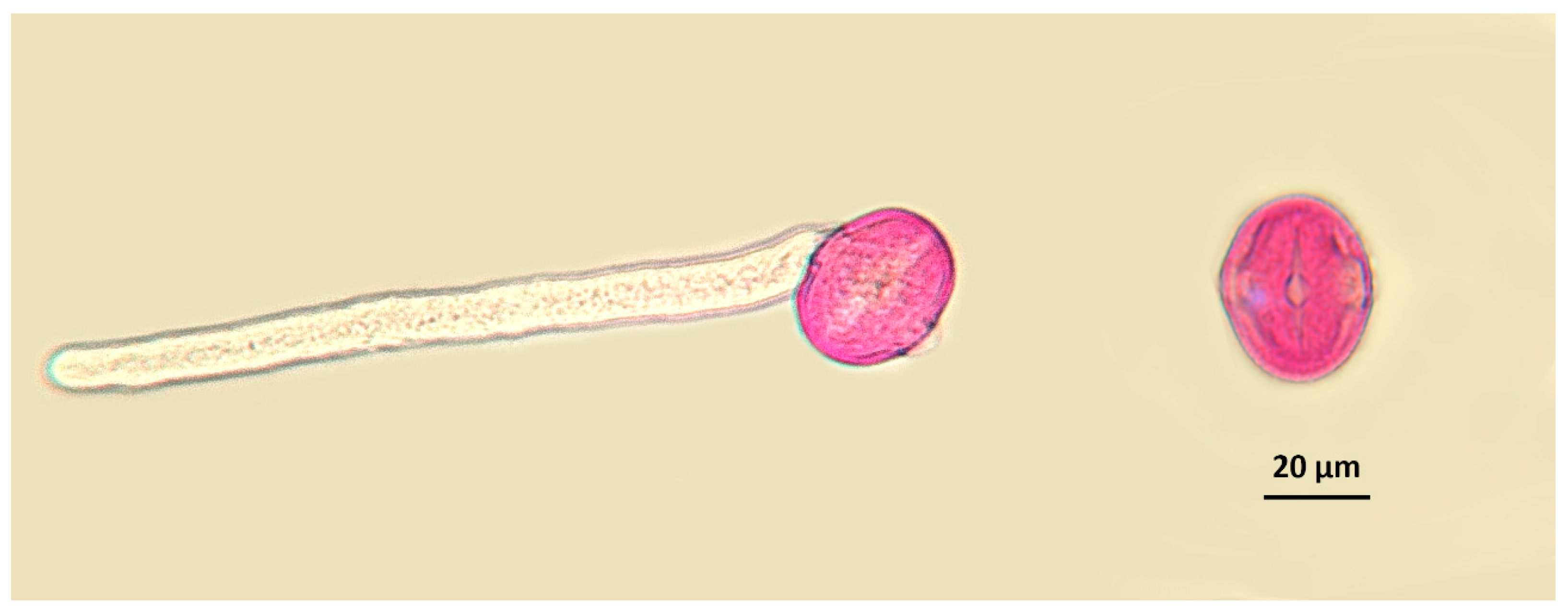 Atmosphere 14 01544 g004