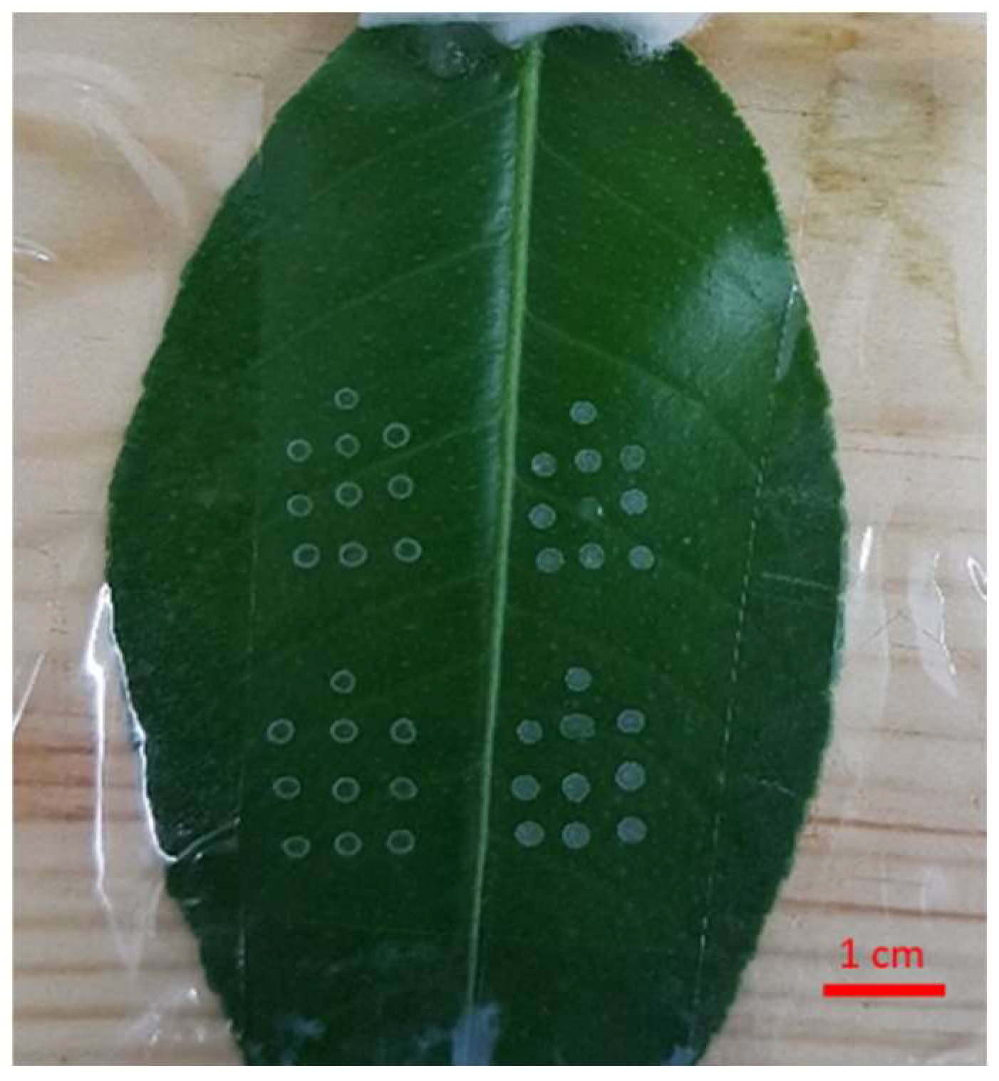 Atmosphere 14 01627 g003