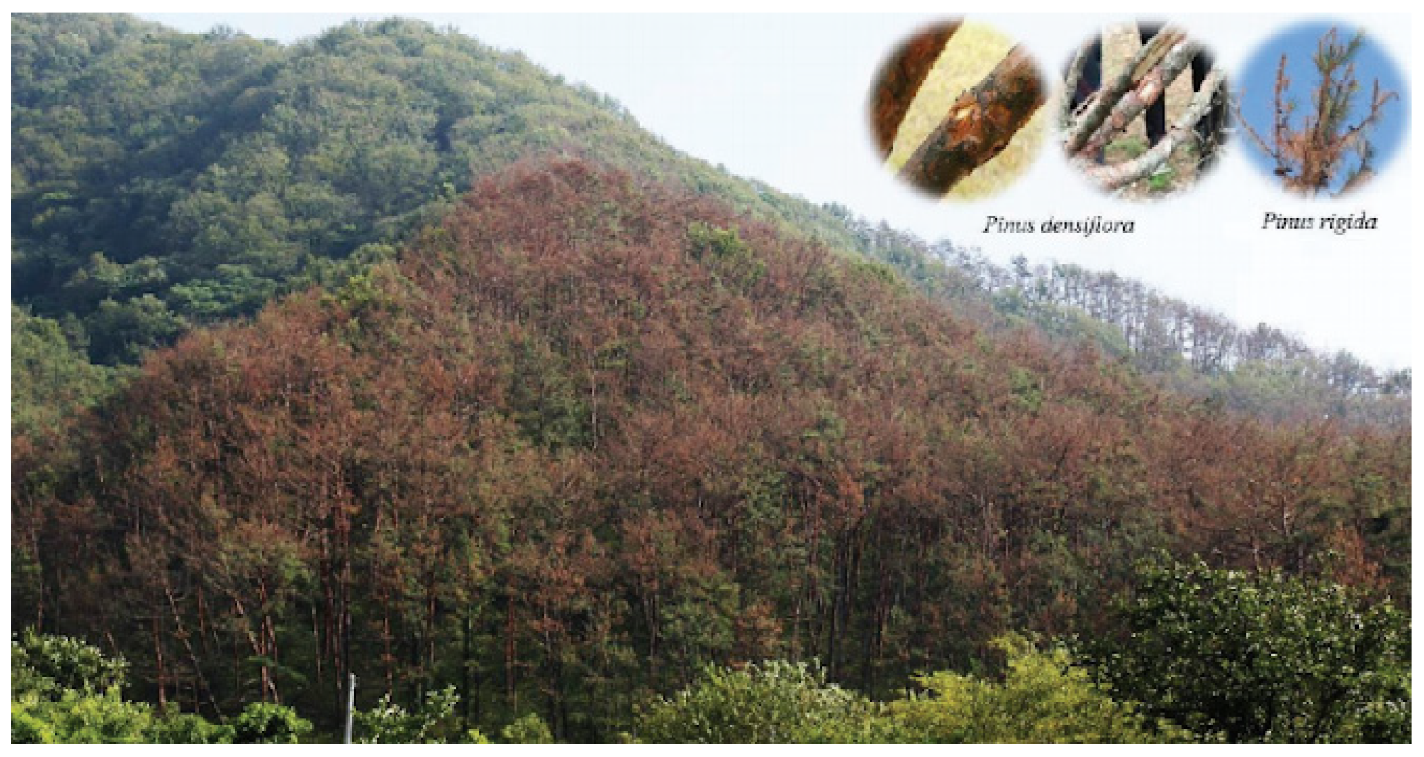 Atmosphere 14 01642 g006