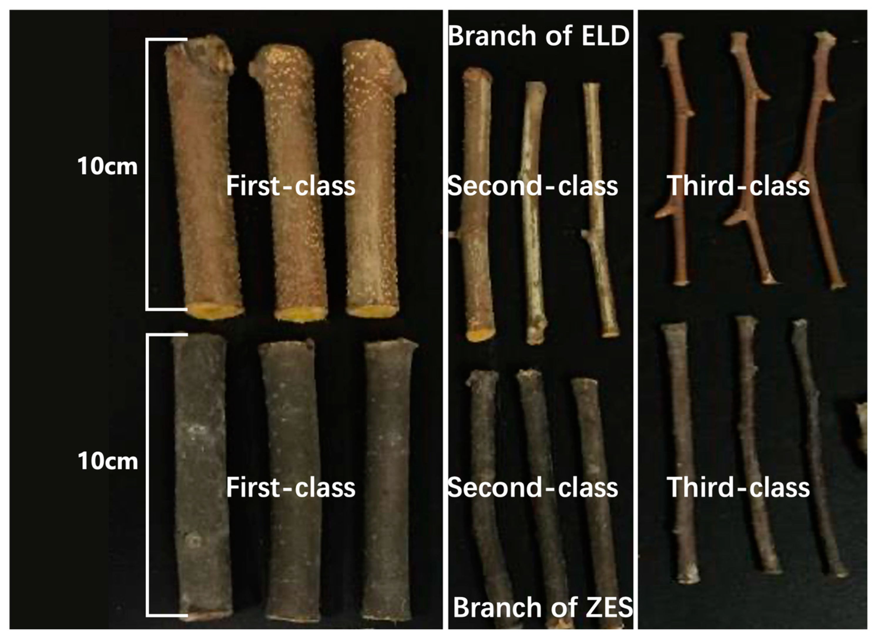 Atmosphere 14 01701 g004 Atmosphere 14 01701 g004