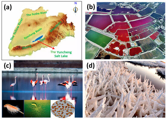 Salt Lake Aerosol Overview: Emissions, Chemical Composition Salt Lake Aerosol Overview: Emissions, Chemical Composition