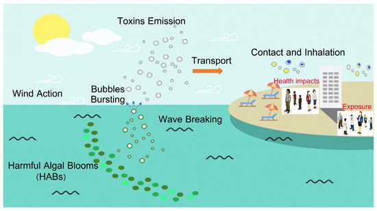 Salt Lake Aerosol Overview: Emissions, Chemical Composition Salt Lake Aerosol Overview: Emissions, Chemical Composition
