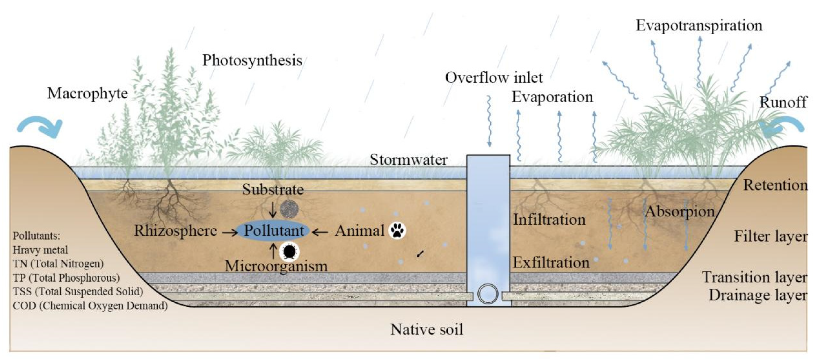 Atmosphere 15 00403 g004