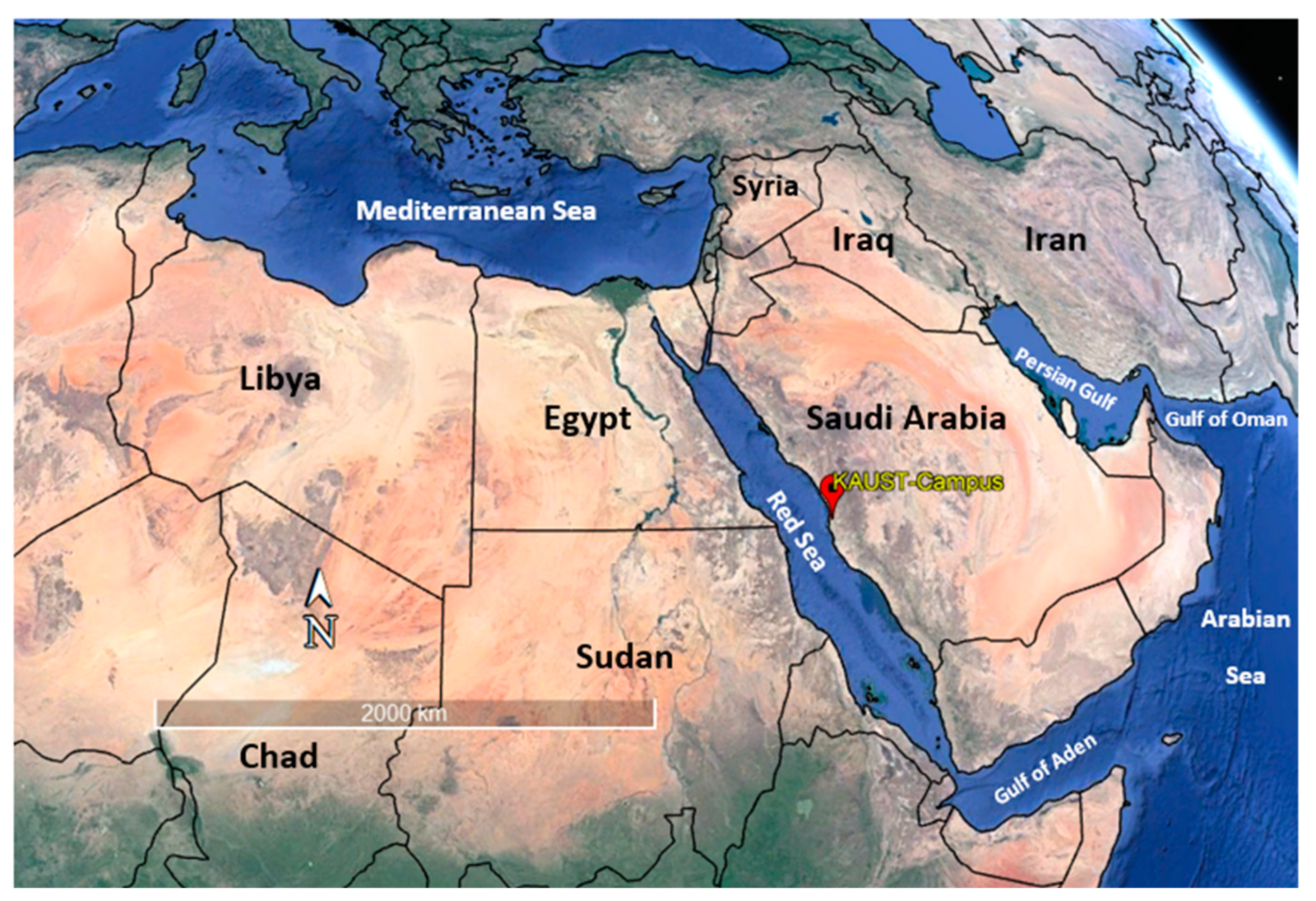 Dust Transport from North Africa to the Middle East: Synoptic 