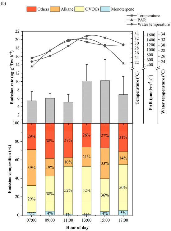 Emission Pattern of Biogenic Volatile Organic Compounds from