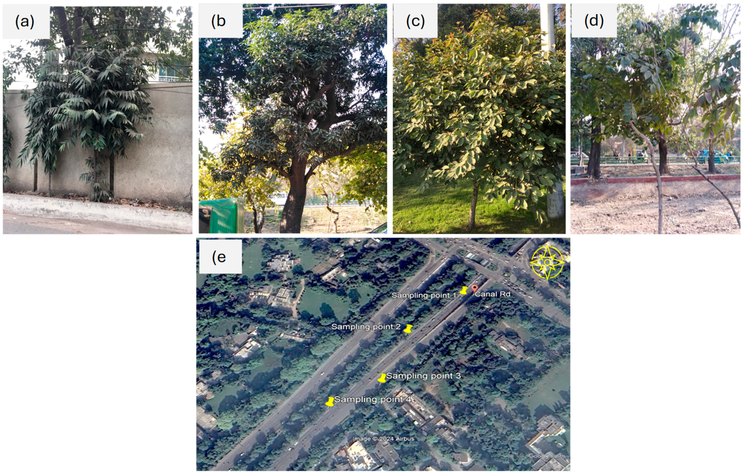 Atmosphere 15 00659 g003