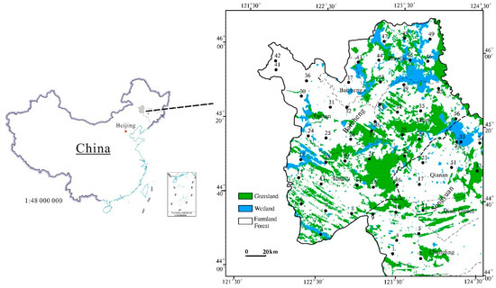 Assessment of Fluxes and Ecological and Health Risks of