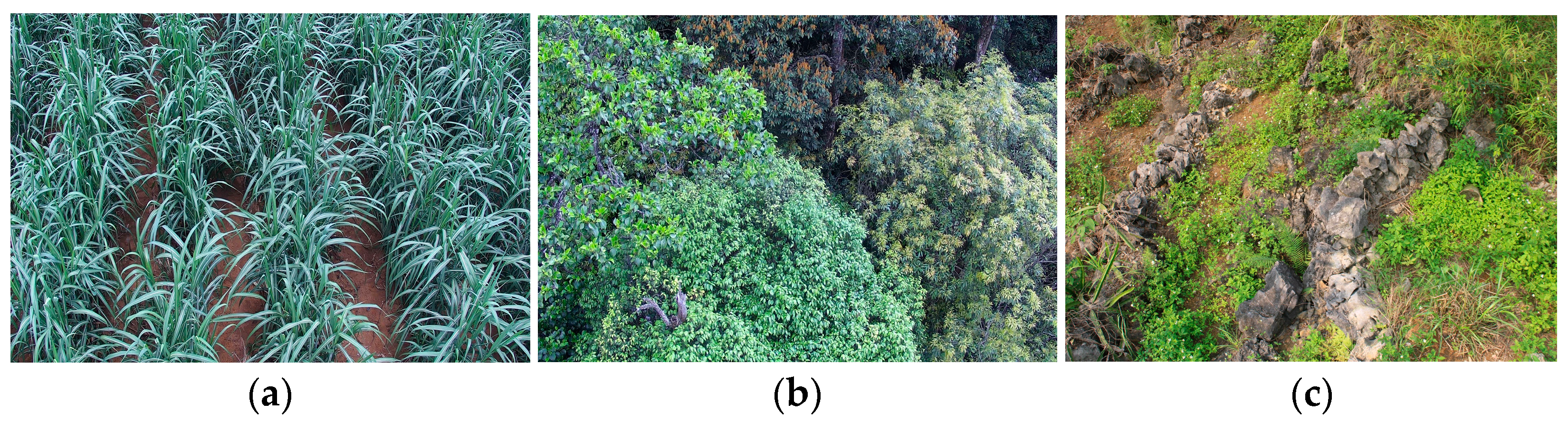 Atmosphere 15 00943 g001