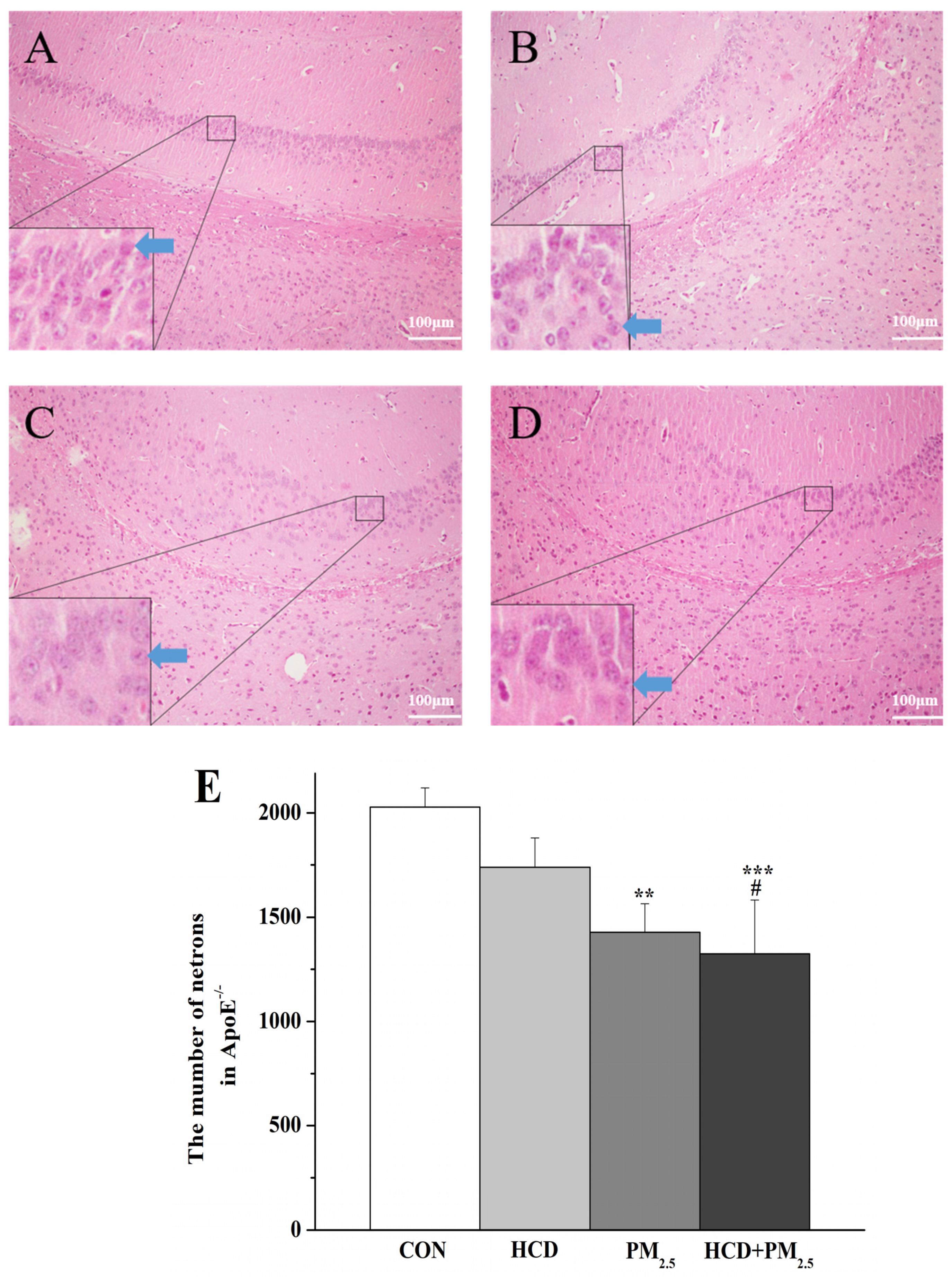Atmosphere 15 00952 g004