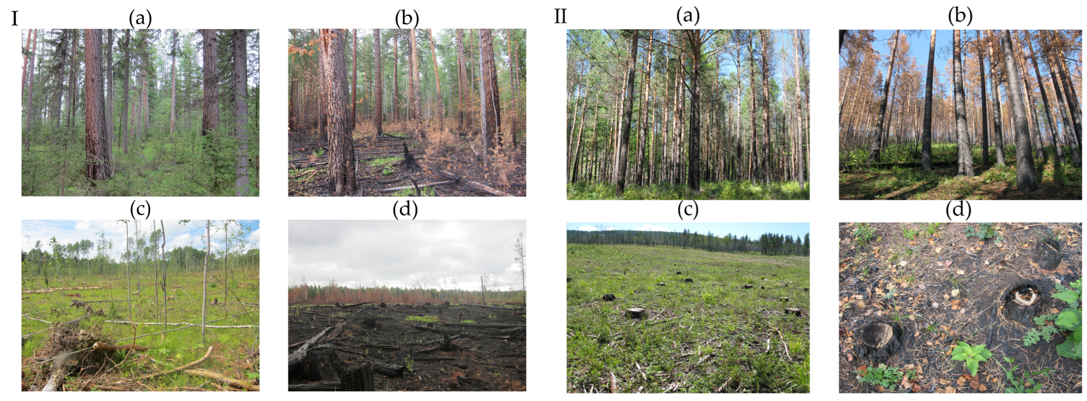 Atmosphere 15 01117 g002