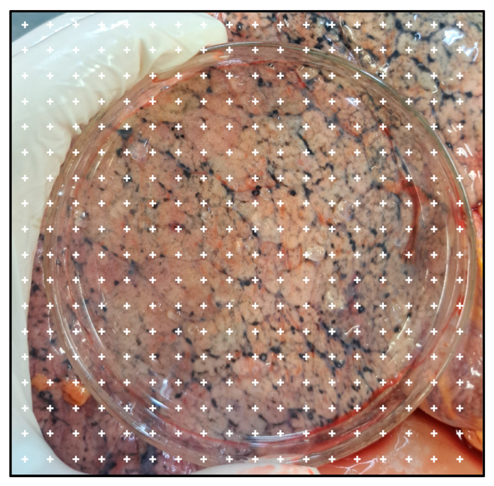 Atmosphere 15 01126 g002