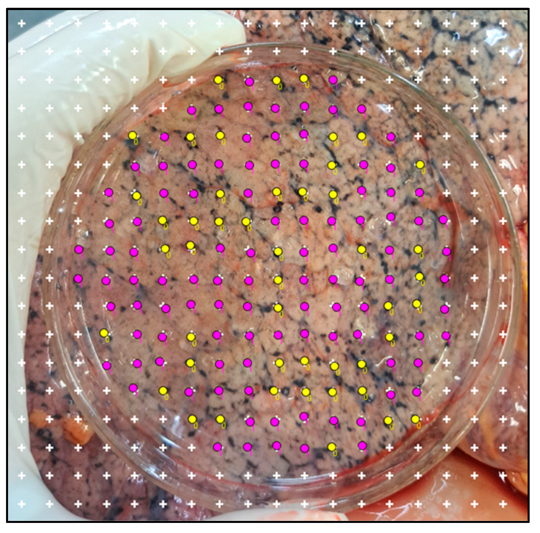 Atmosphere 15 01126 g003