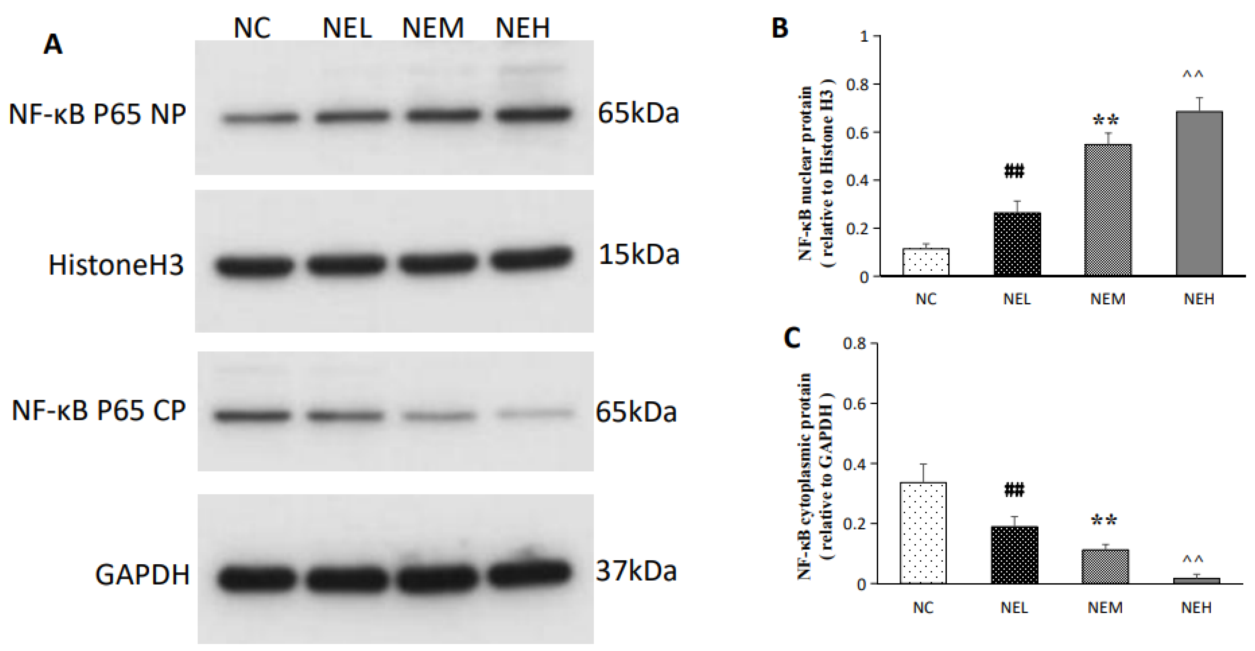 Atmosphere 15 01148 g005