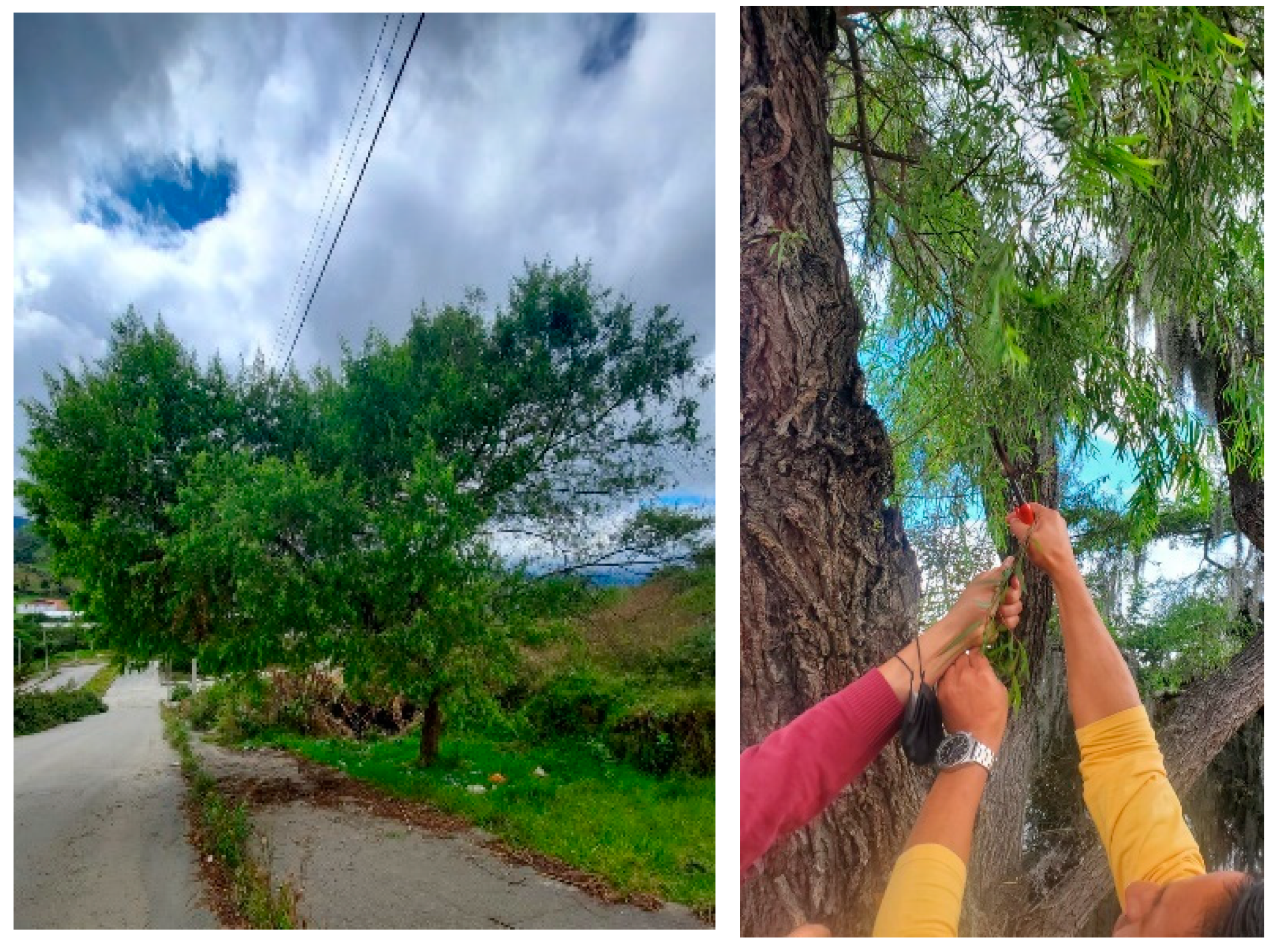 Atmosphere 15 01160 g002