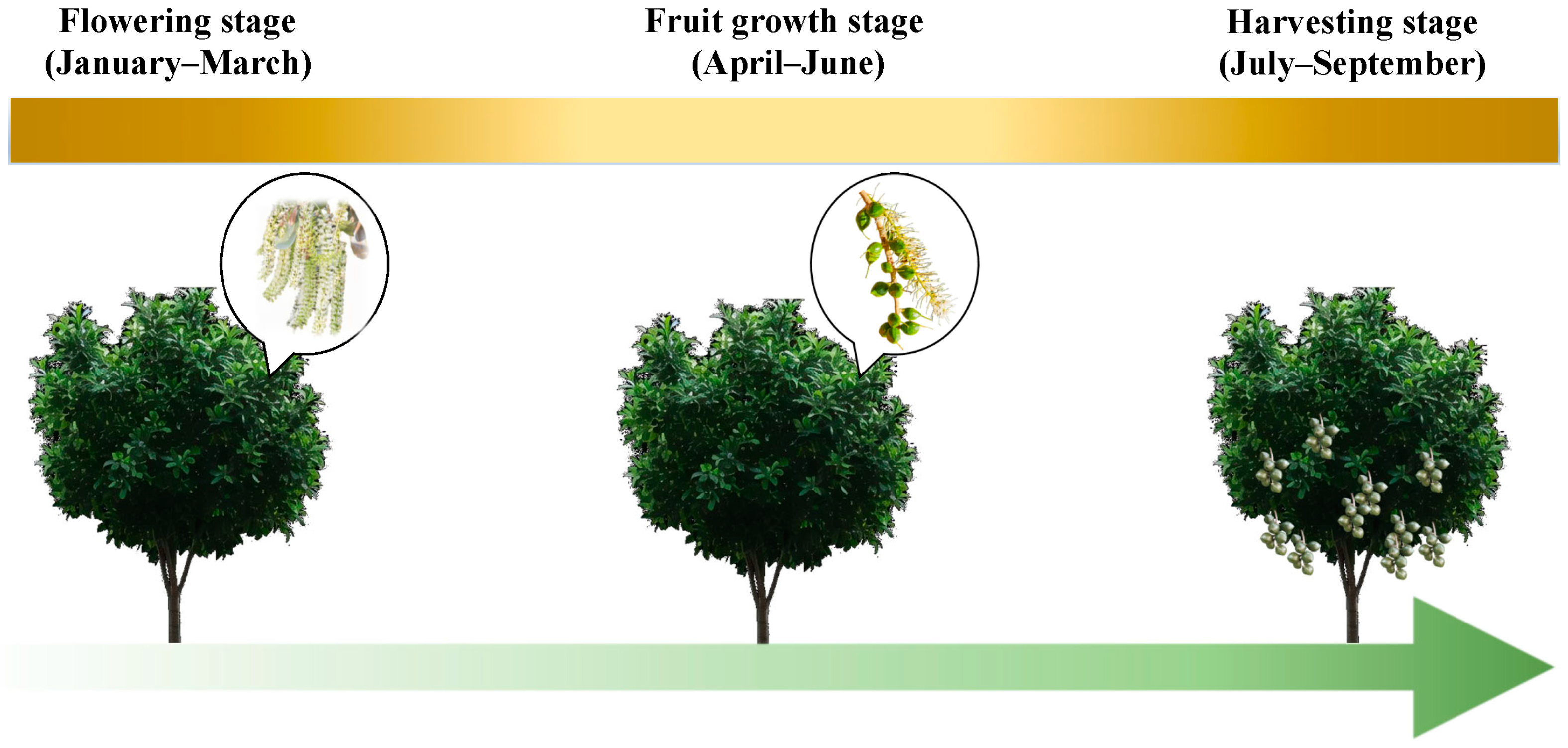 Atmosphere 15 01299 g002