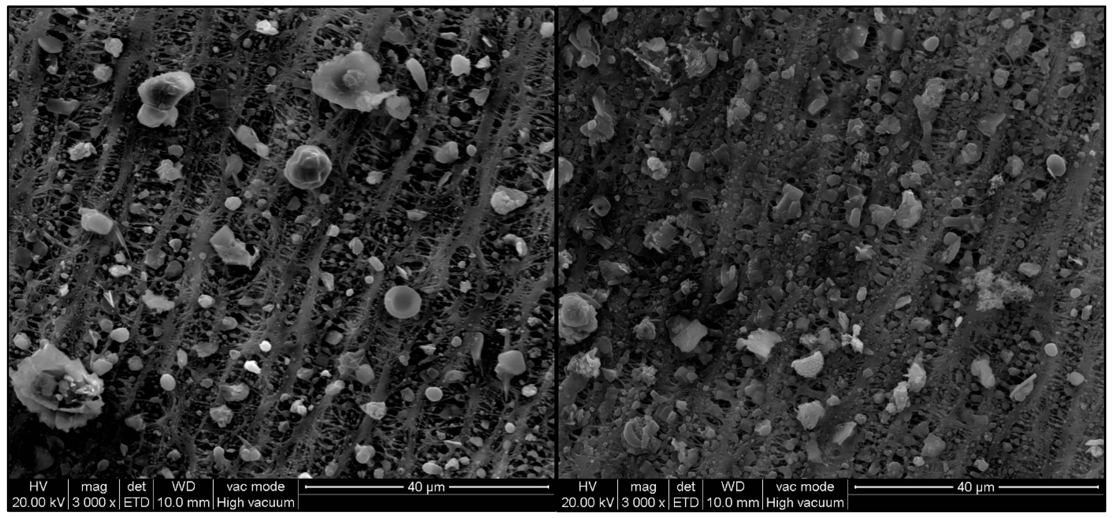 Atmosphere 15 01379 g003