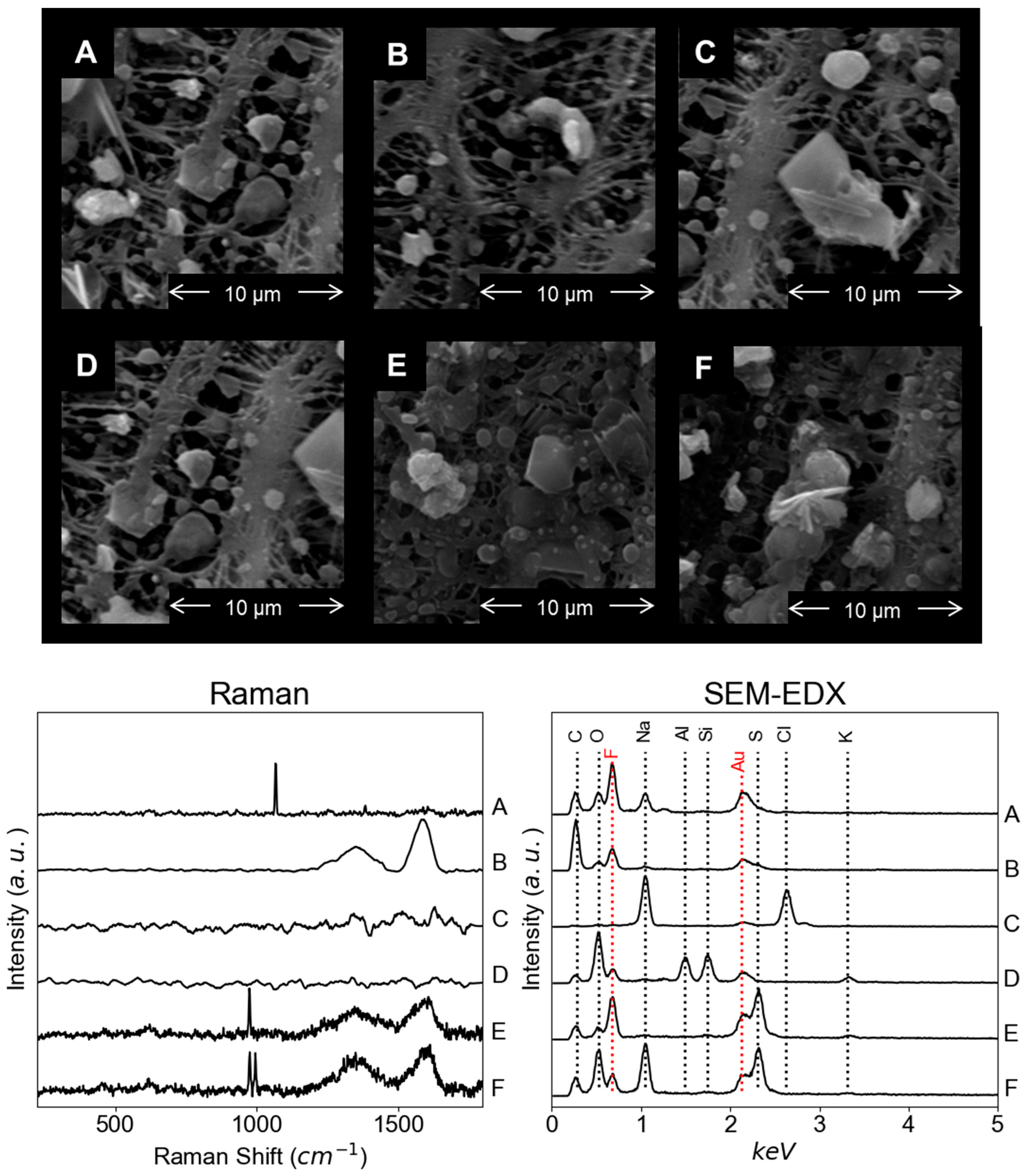 Atmosphere 15 01379 g004