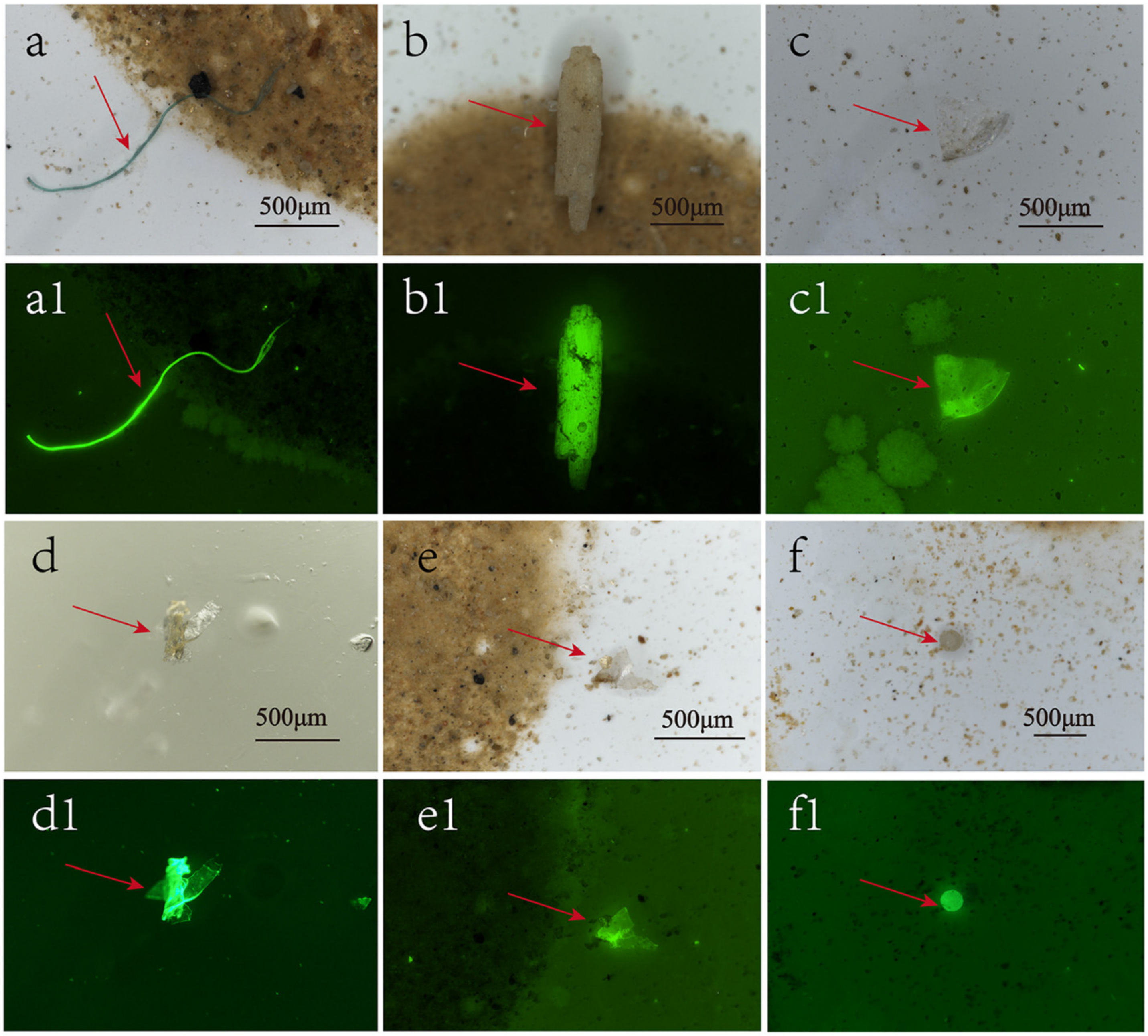 Atmosphere 15 01380 g001