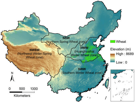 Assessing the Effects of Wheat Planting on Groundwater Under