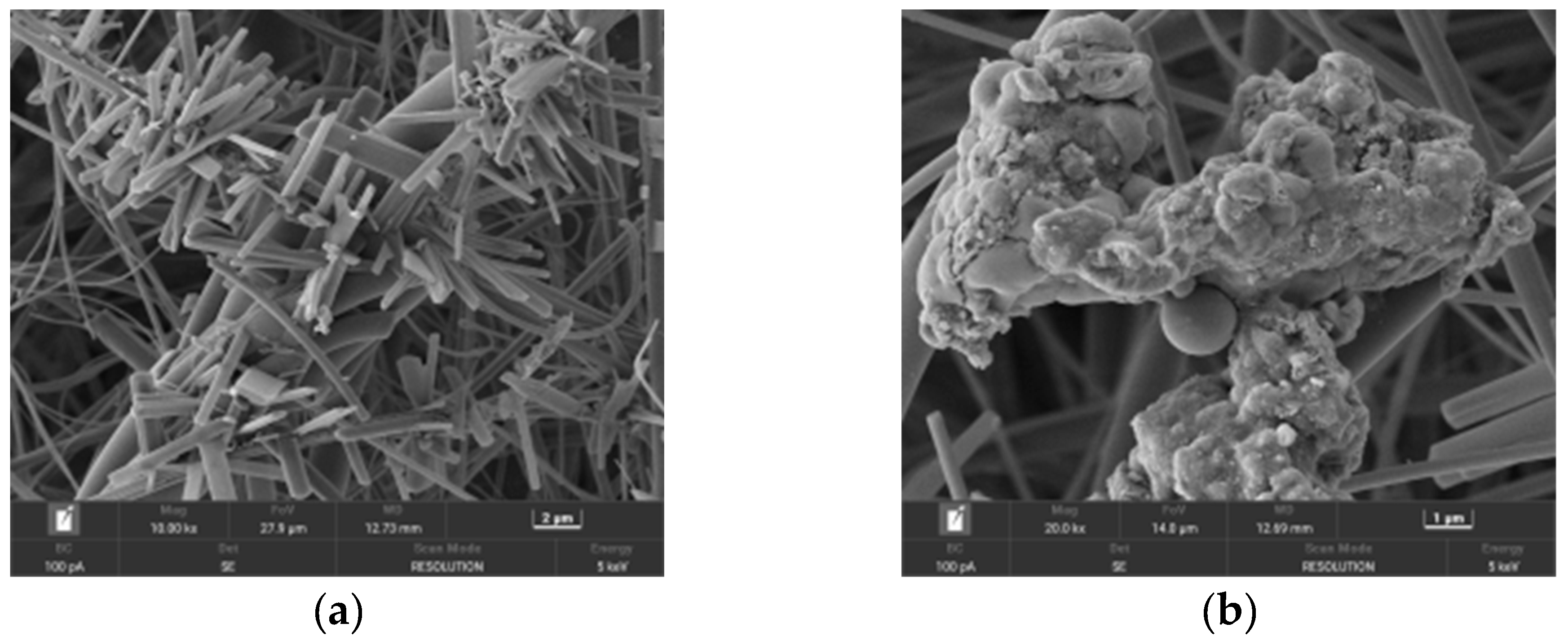 Atmosphere 16 00013 g005