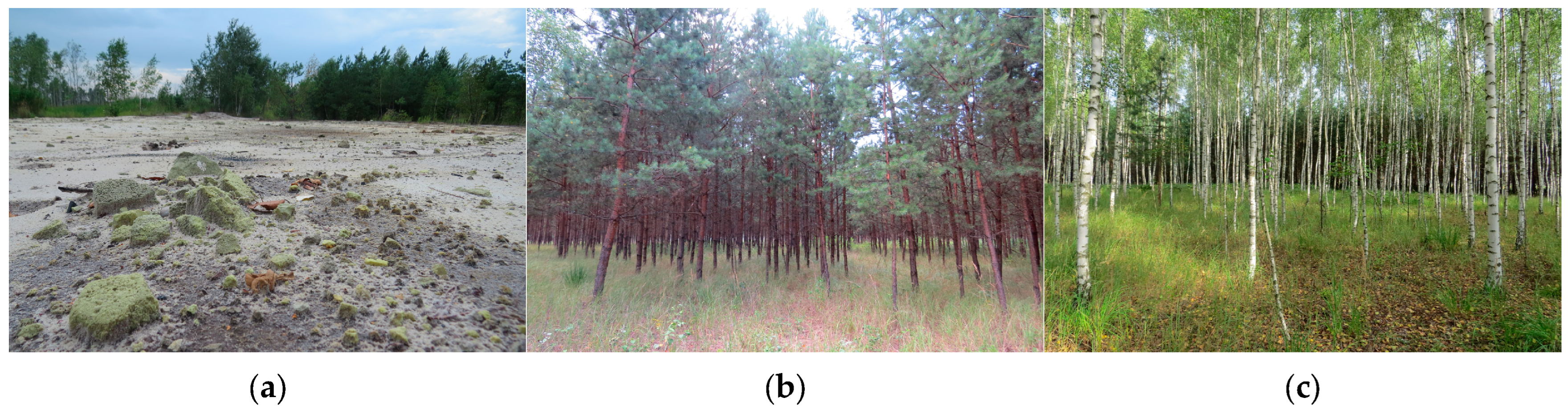 Atmosphere 16 00083 g004