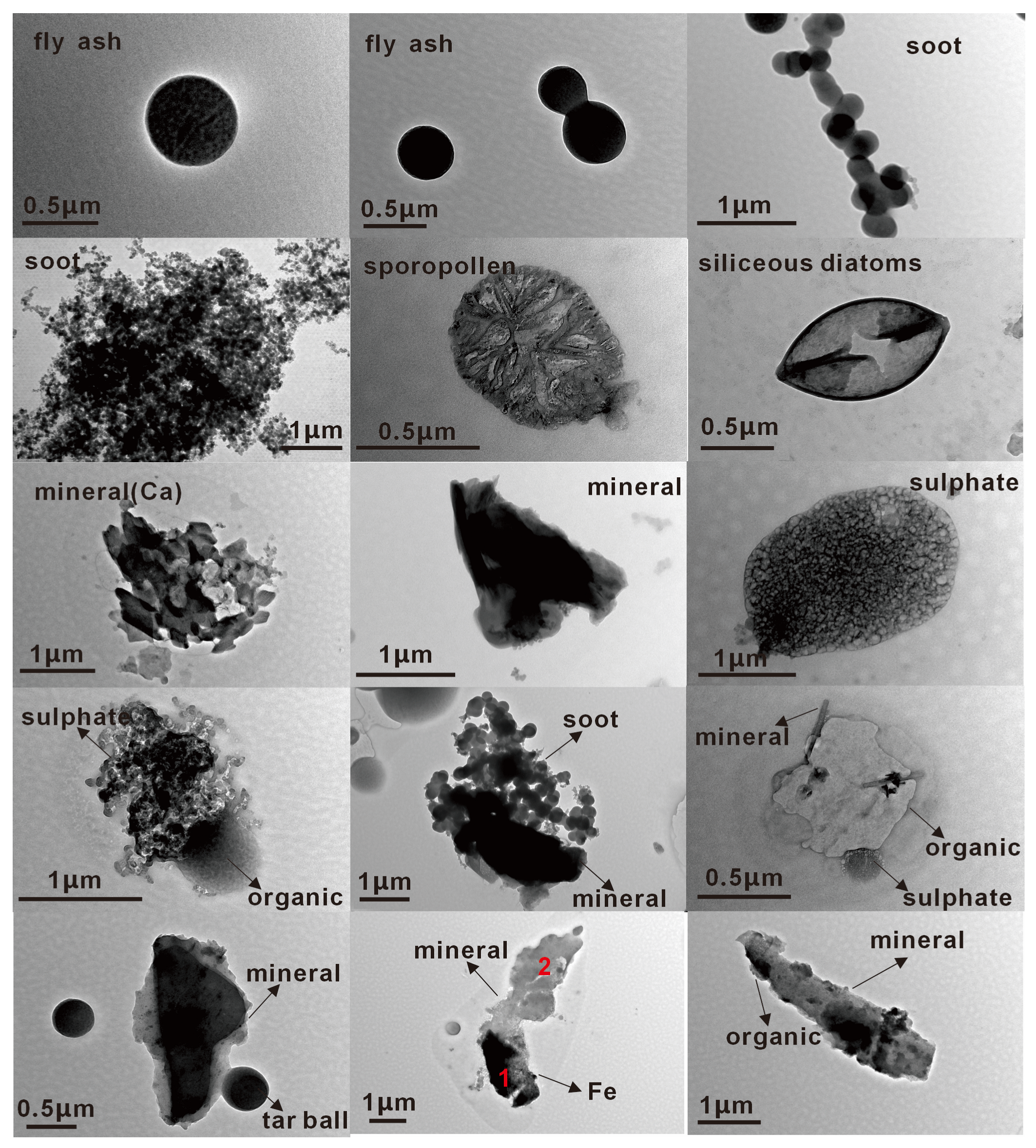 Atmosphere 16 00187 g004
