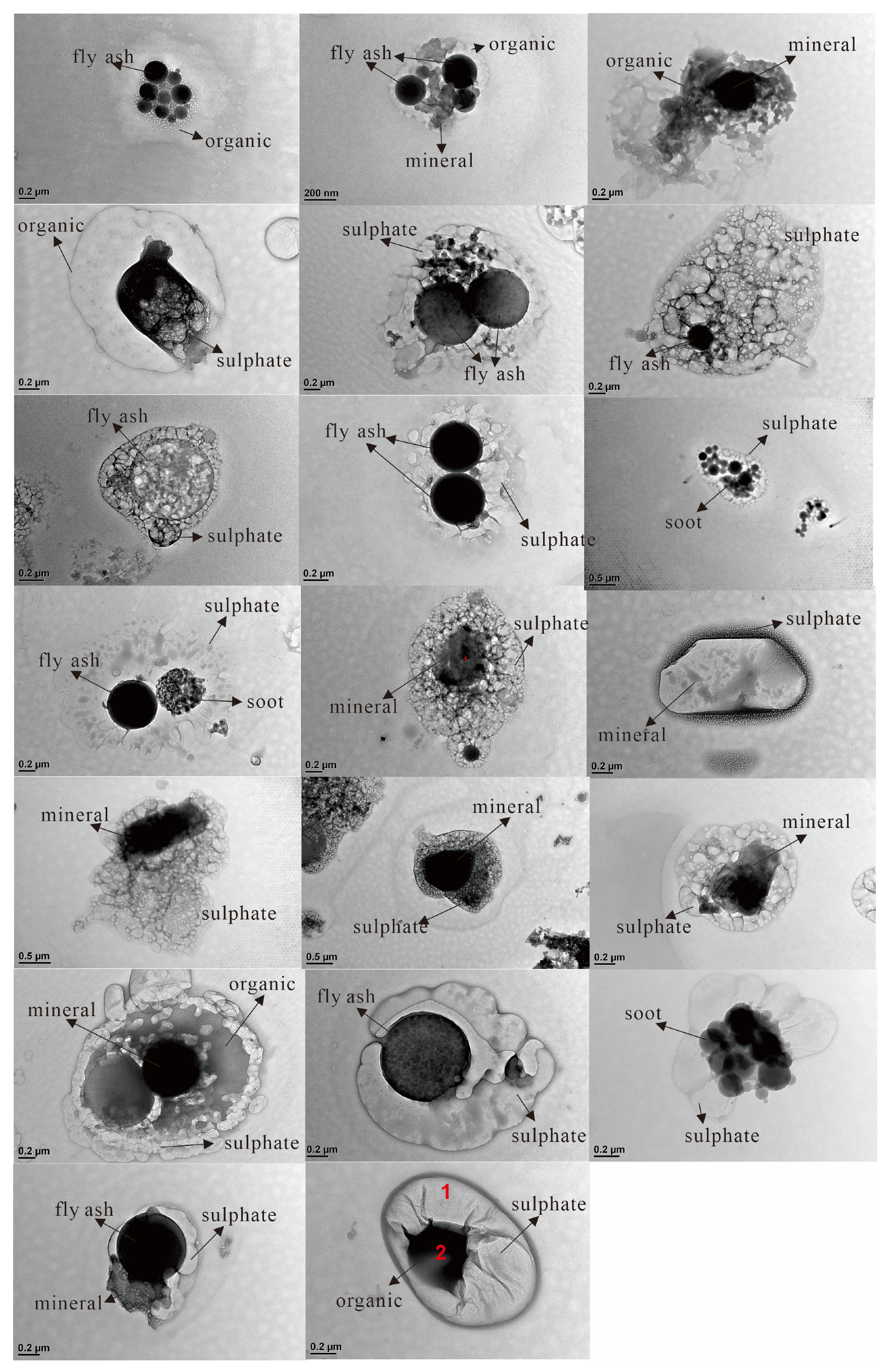 Atmosphere 16 00187 g008