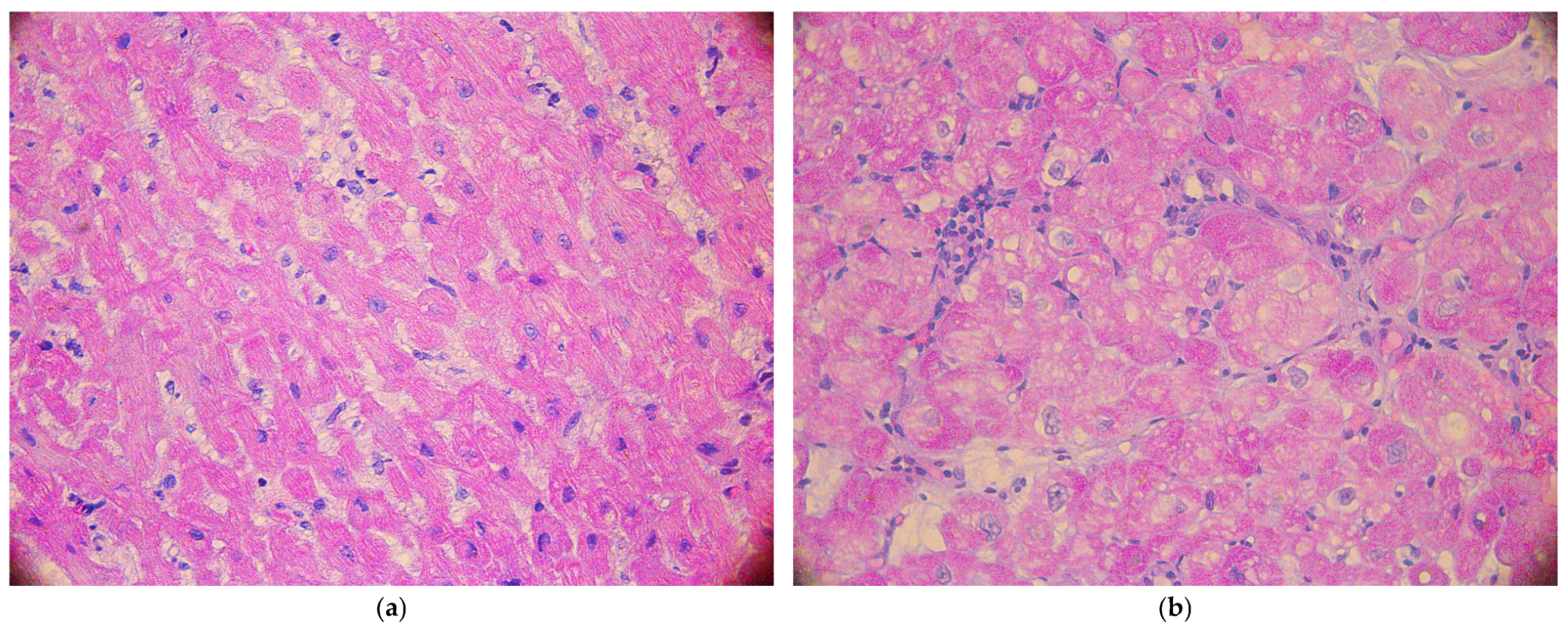 Atmosphere 16 00234 g001