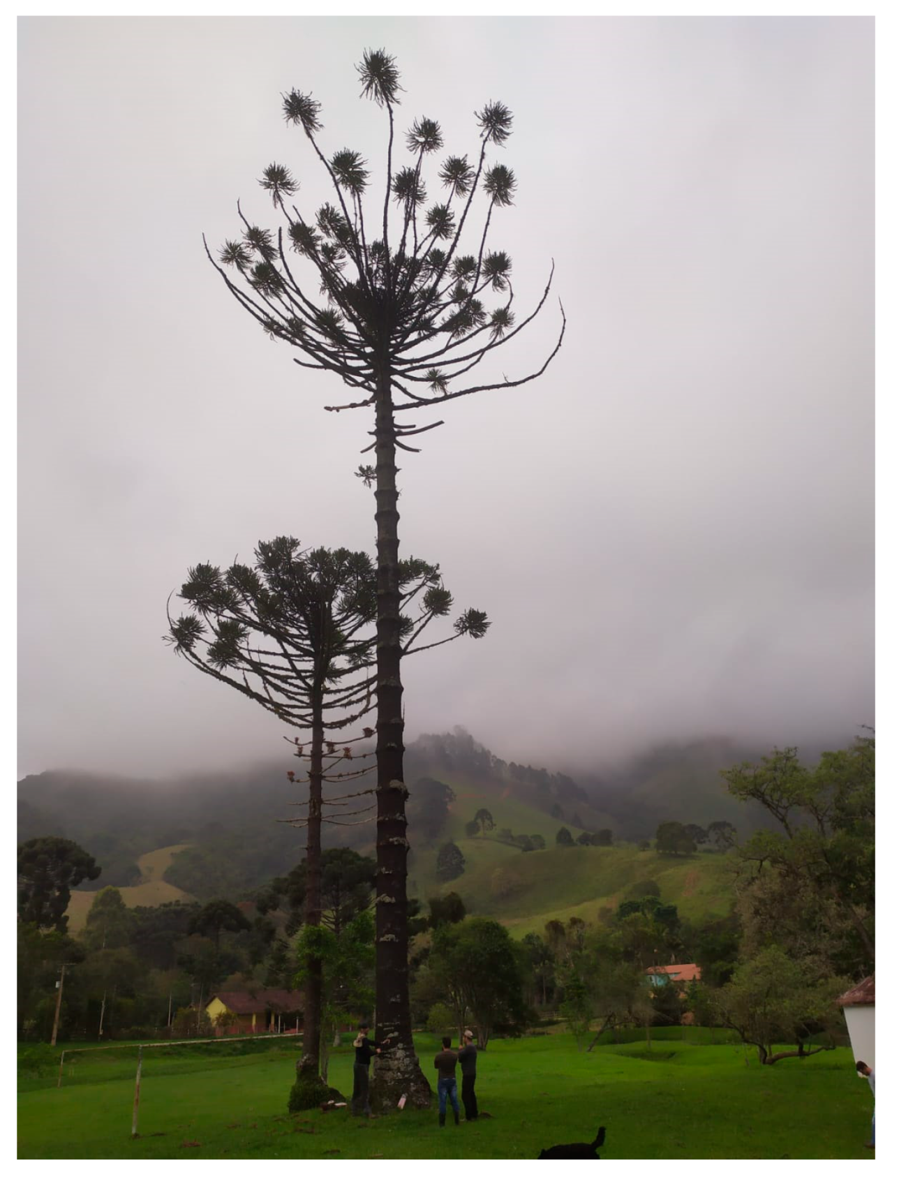 Atmosphere 16 00287 g001