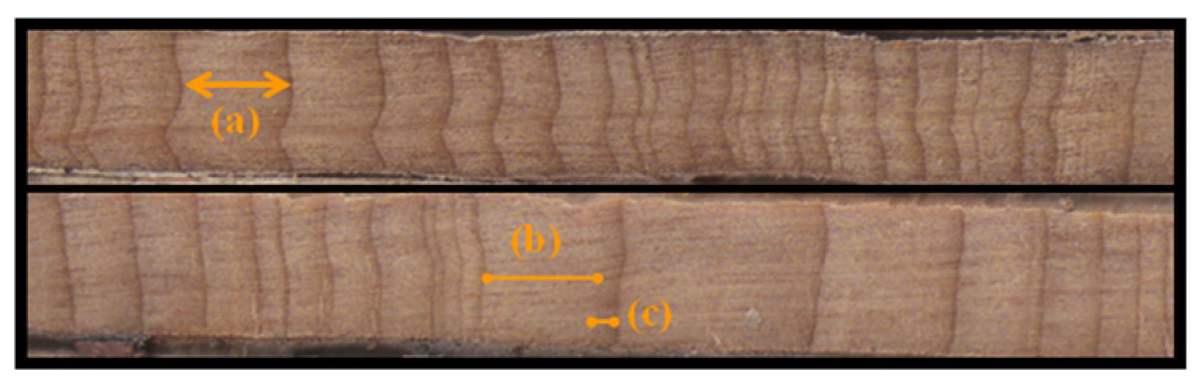 Atmosphere 16 00287 g003