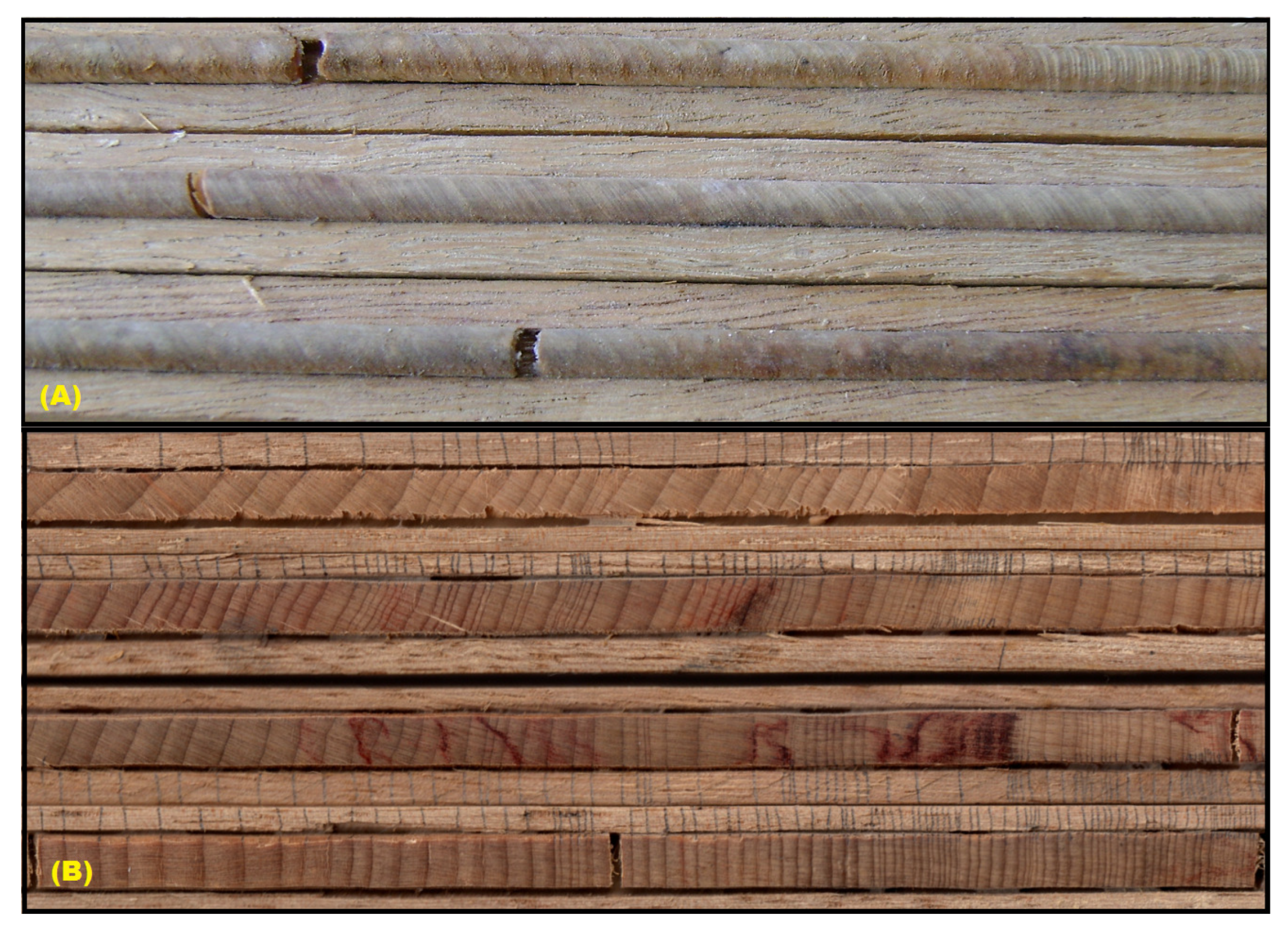 Atmosphere 16 00287 g005