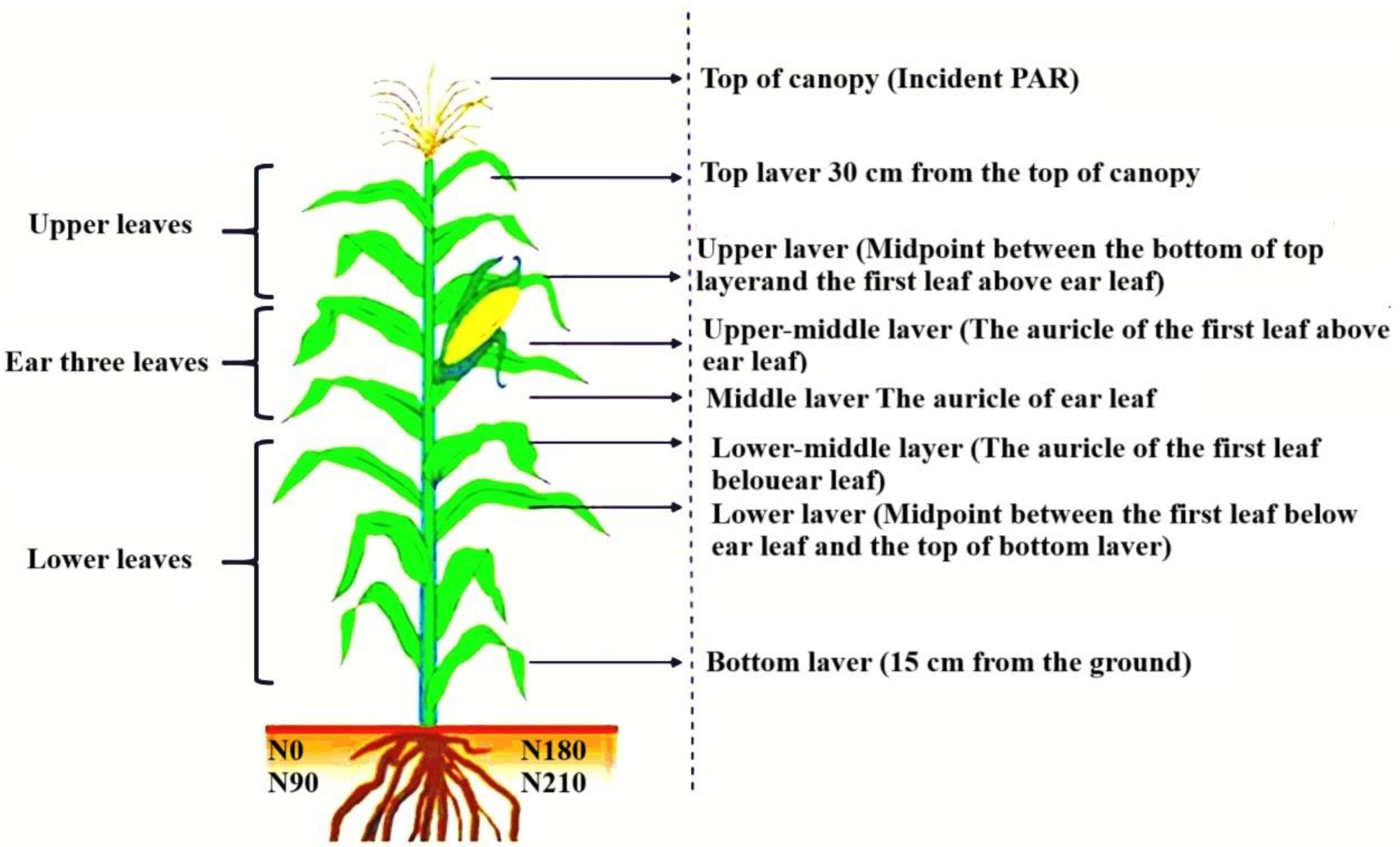 Atmosphere 16 00373 g002
