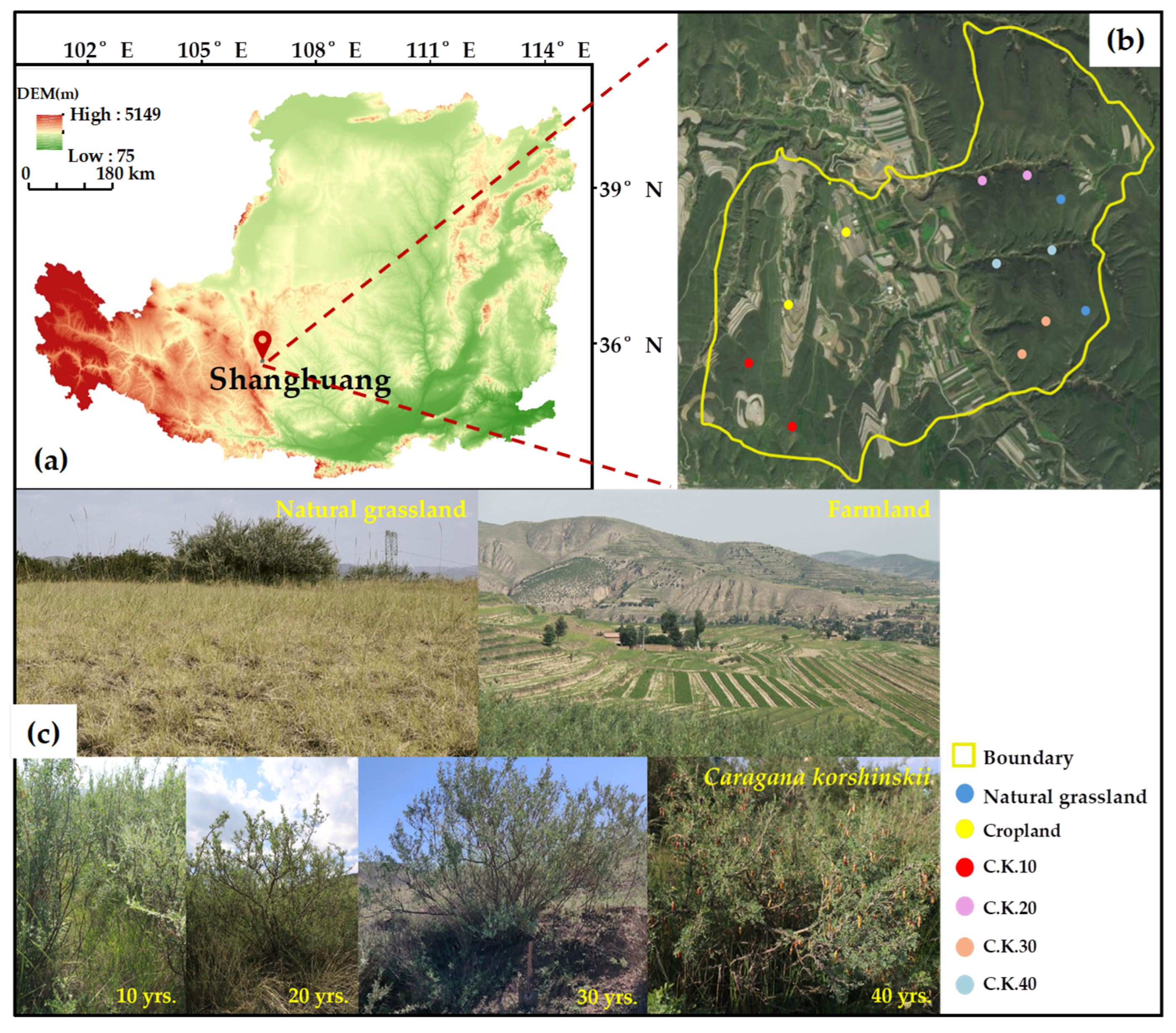 Atmosphere 16 00662 g001