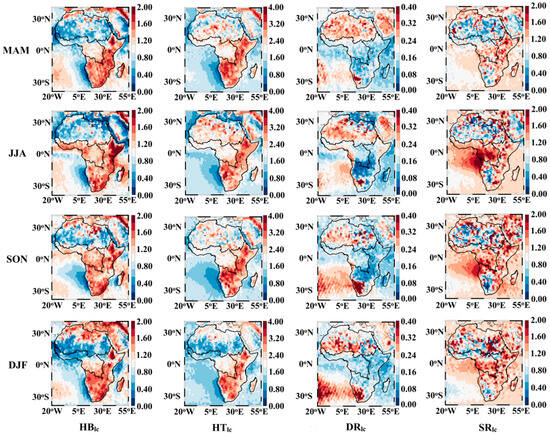 Insights into the Optical and Physical Characteristics of